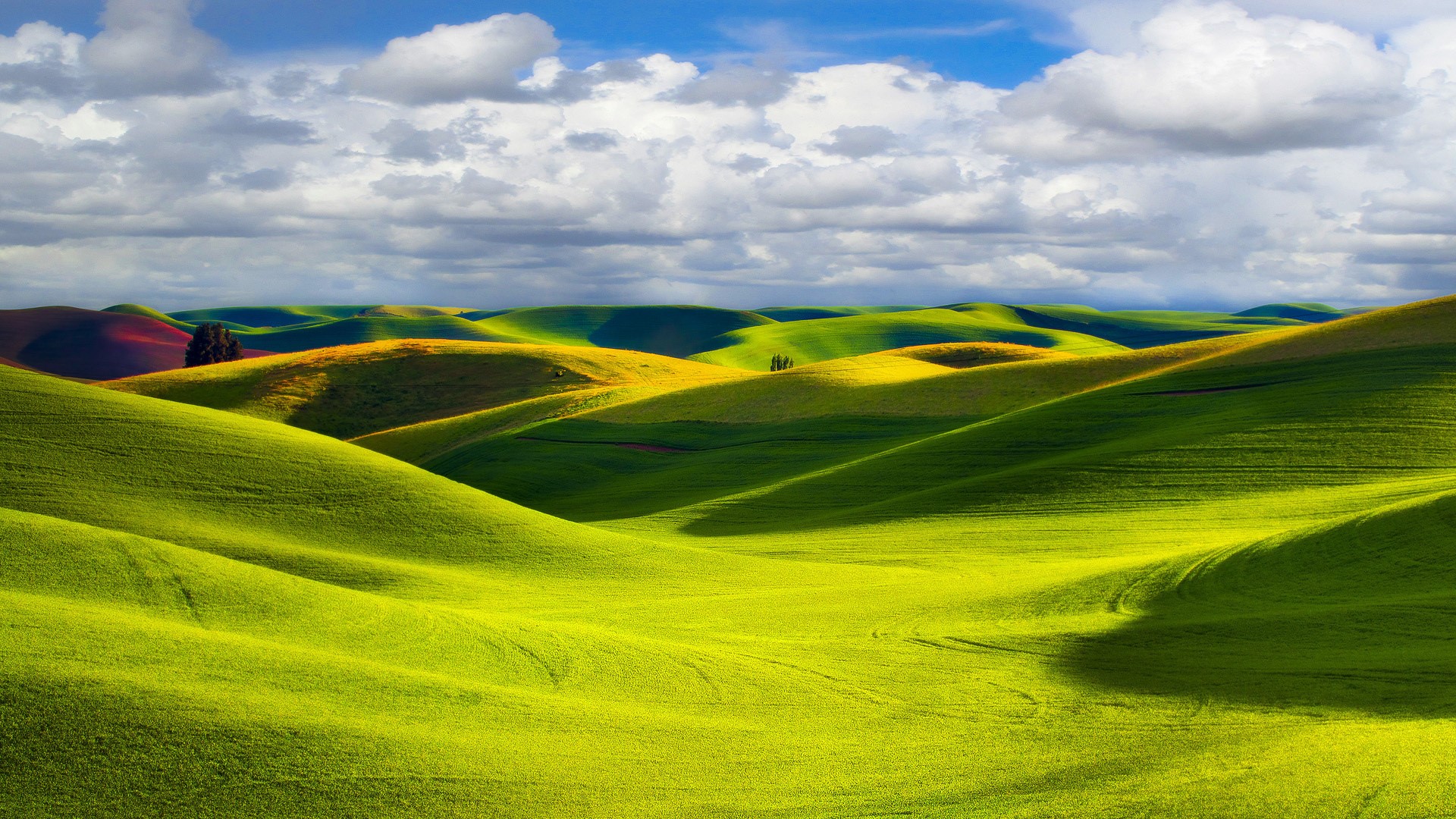 Rolling green hills under a cloudy sky HD Wallpaper