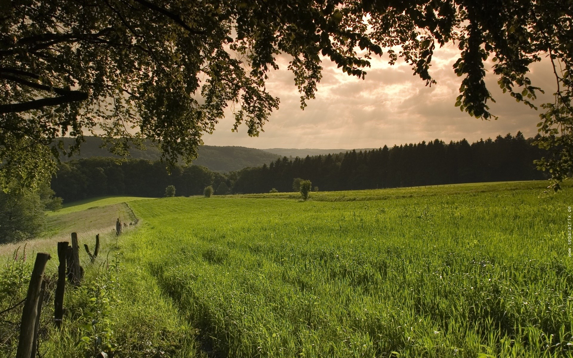 Man walking on a path through a green field HD Wallpaper