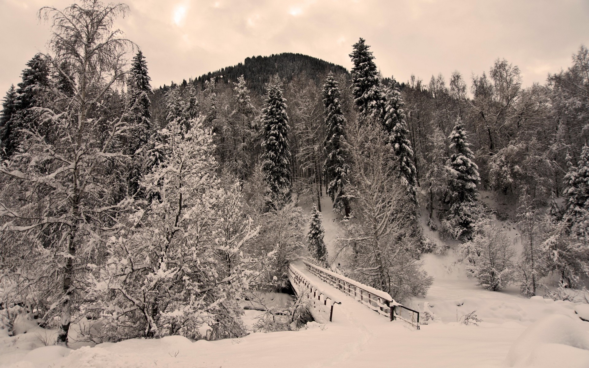 Snowy forest with a wooden bridge HD Wallpaper