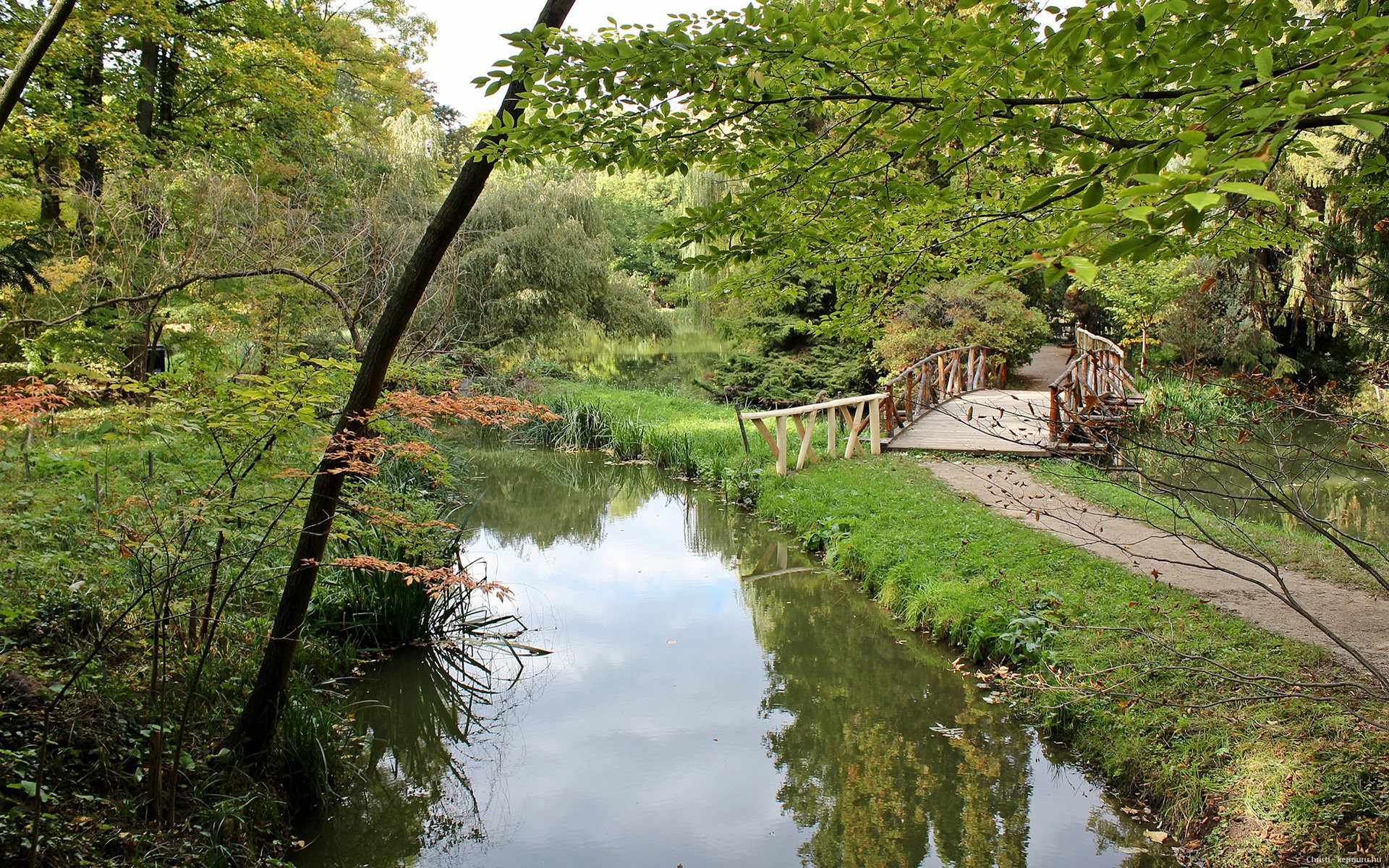 Wooden bridge over a stream in a park HD Wallpaper
