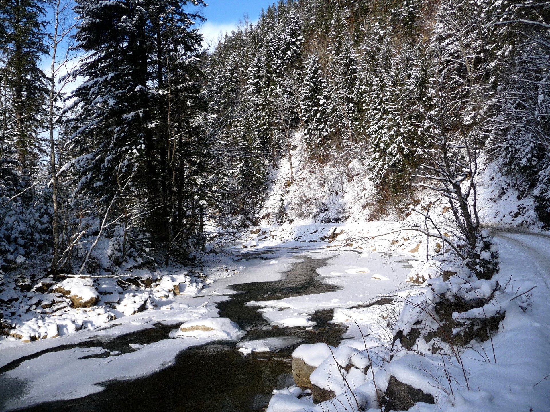 Winter forest with a partially frozen river HD Wallpaper