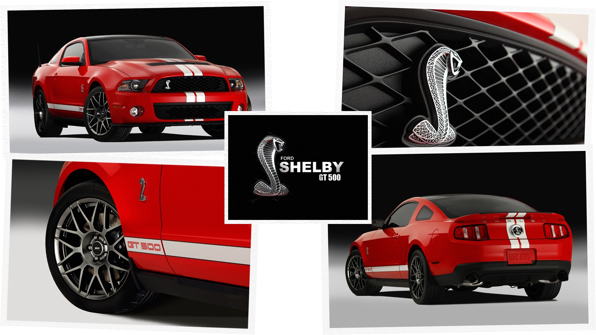 Ford Shelby GT500 Cobra Emblem and Car HD Wallpaper