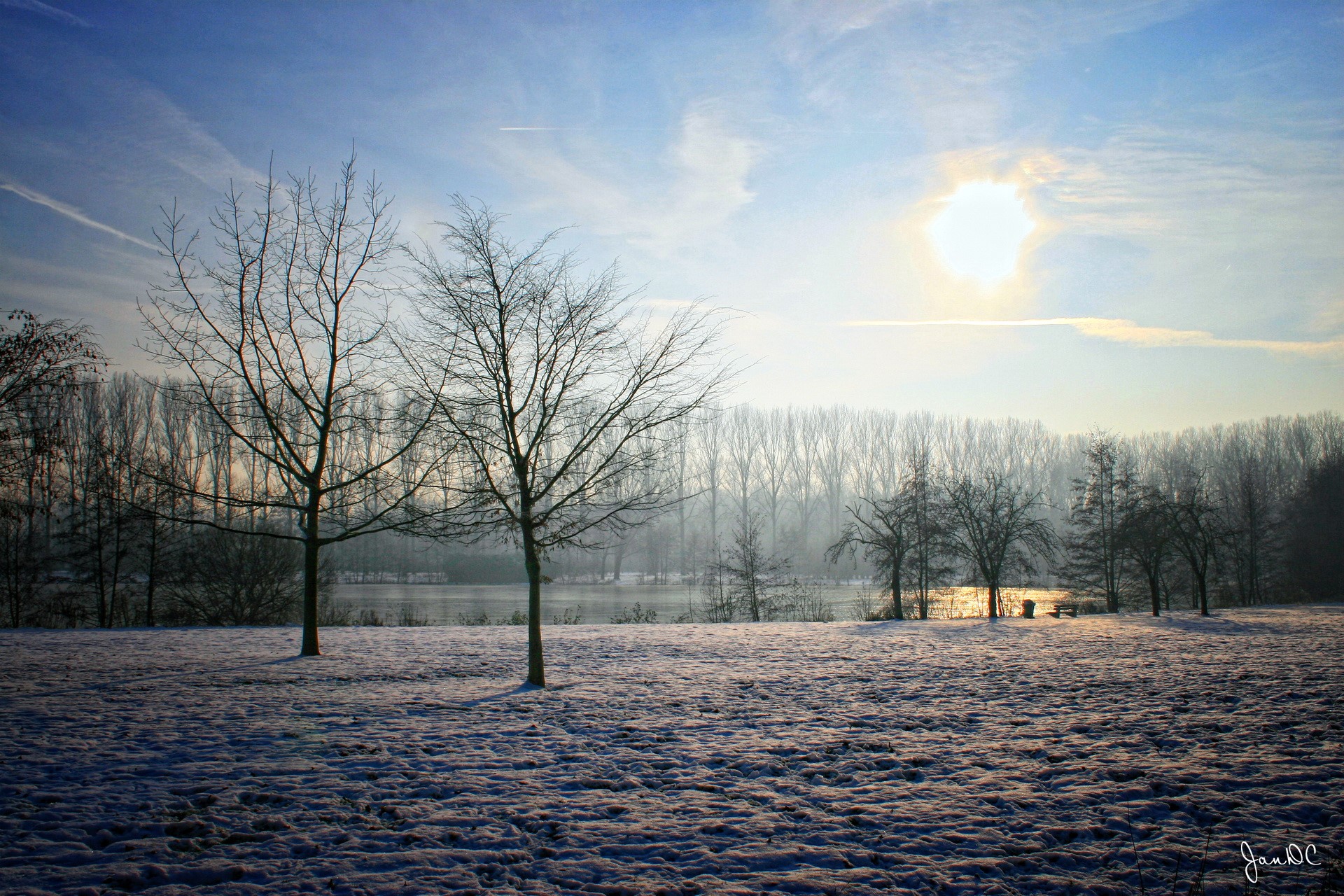 Winter landscape with snow and bare trees HD Wallpaper