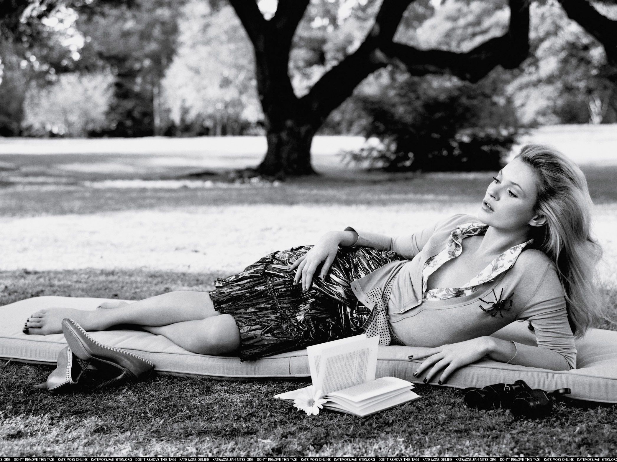 Kate Moss lounging in a park HD Wallpaper