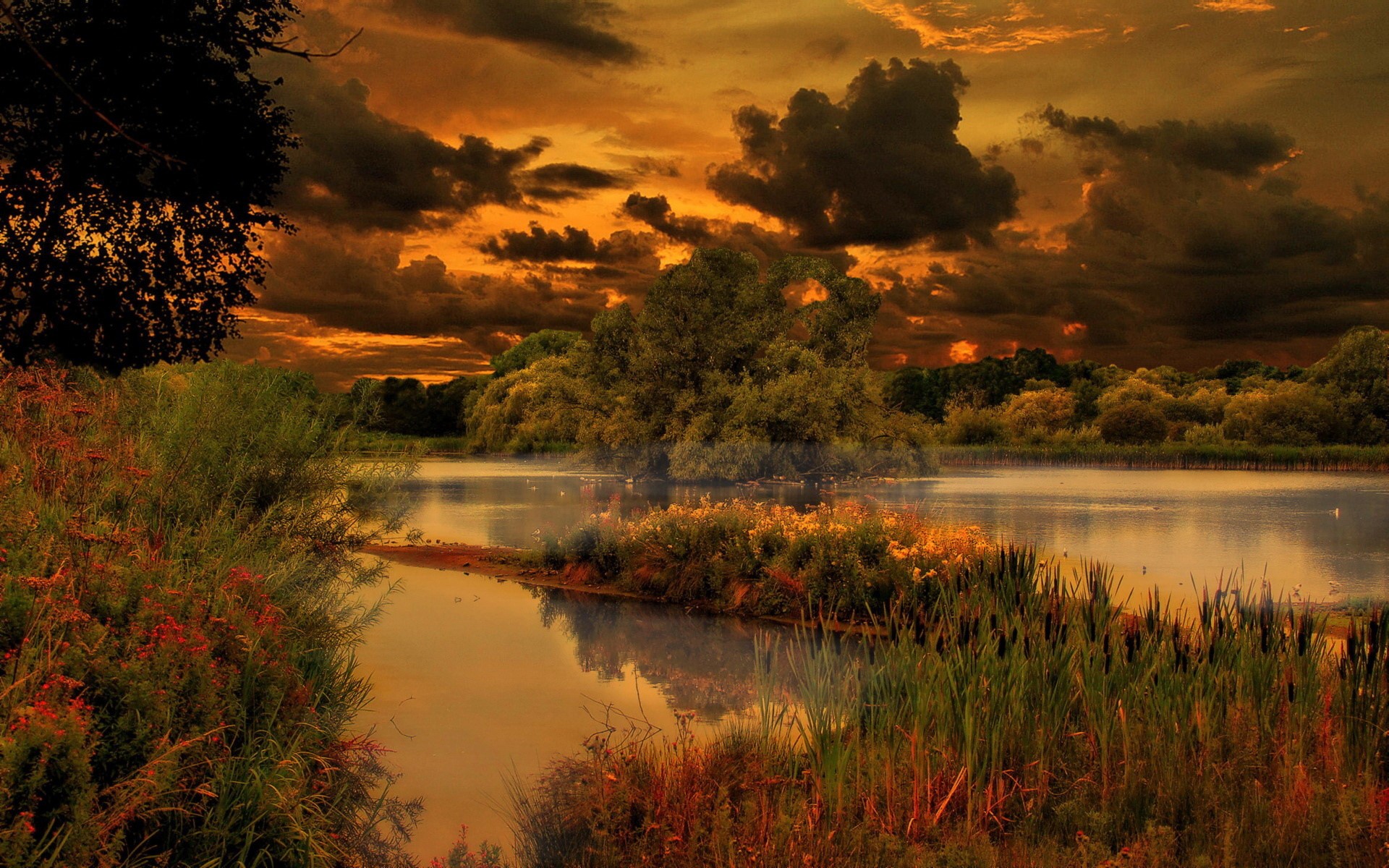 Sunset over a lake with trees and clouds HD Wallpaper