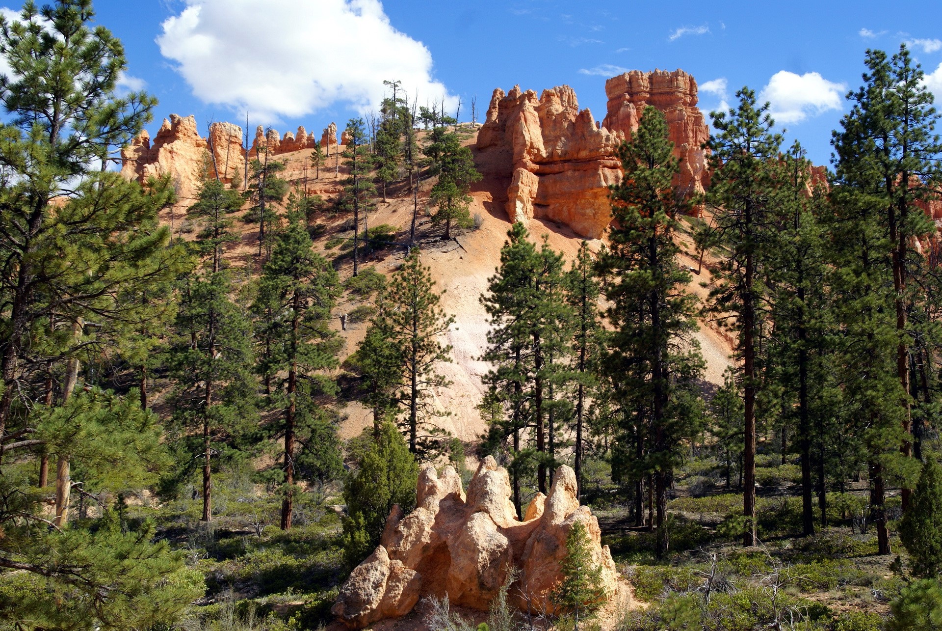 Bryce Canyon National Park, Utah, USA HD Wallpaper