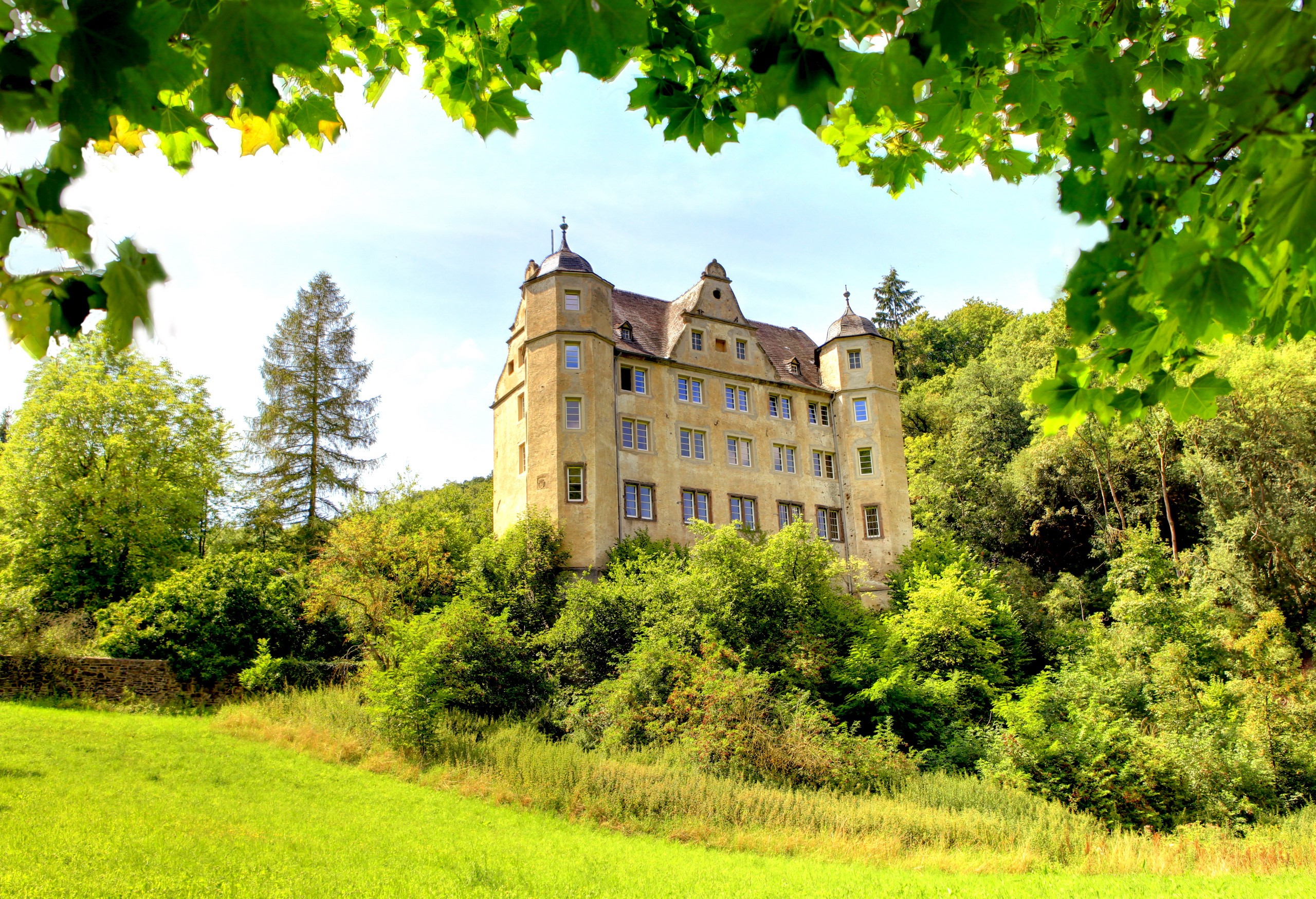 Castle Schweppenburg surrounded by lush green trees HD Wallpaper