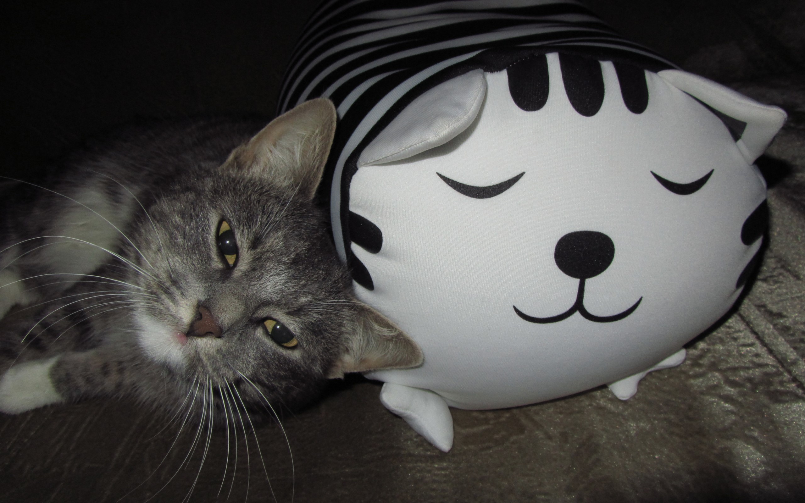 A gray cat rests next to a stuffed animal. HD Wallpaper