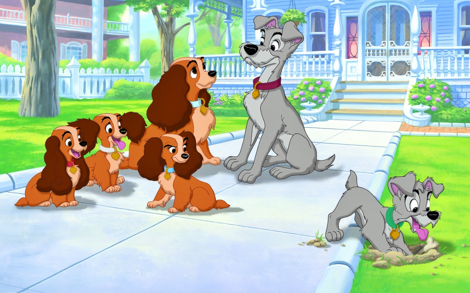 Lady and the Tramp dogs in front of a house HD Wallpaper