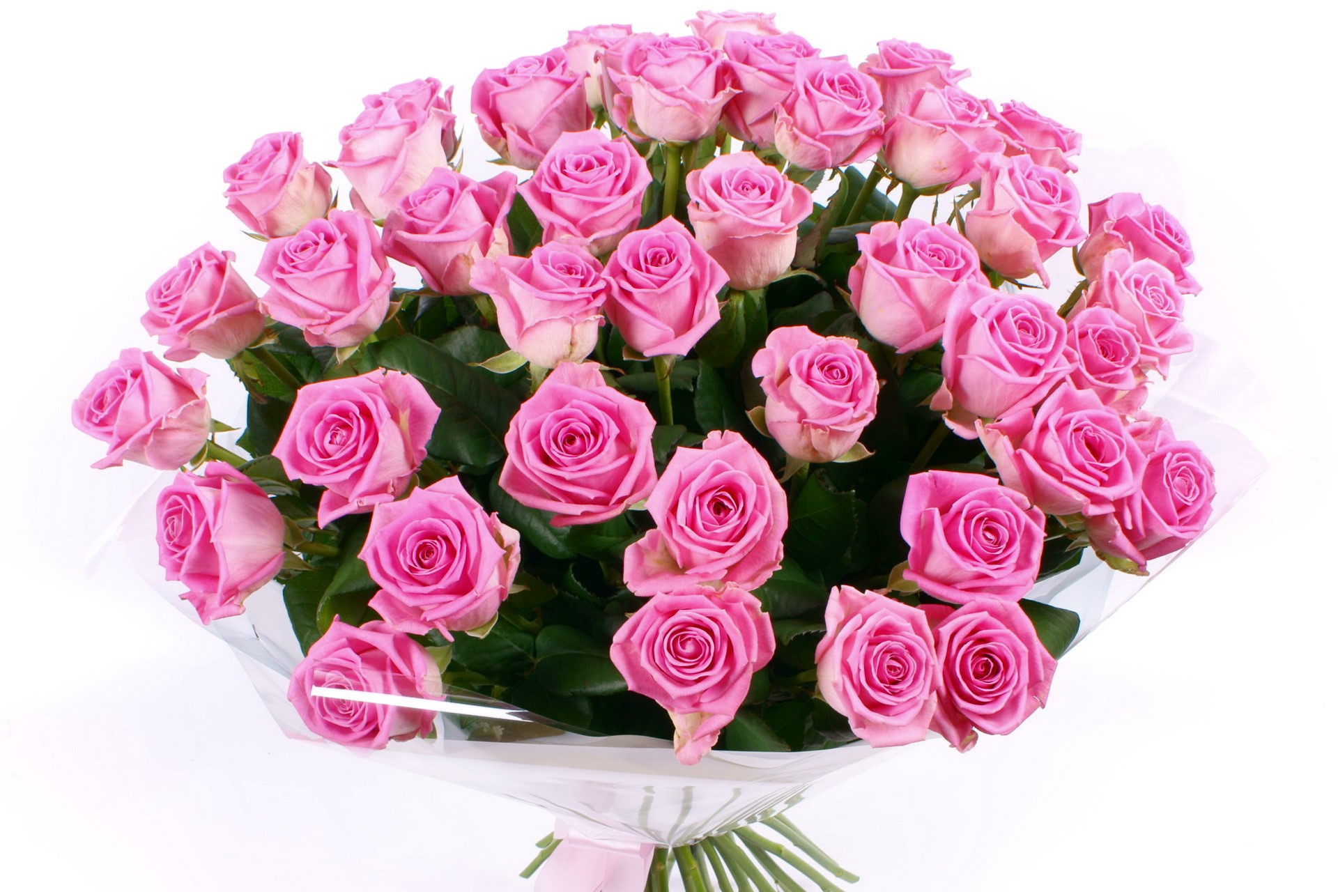 Bouquet of pink roses HD Wallpaper