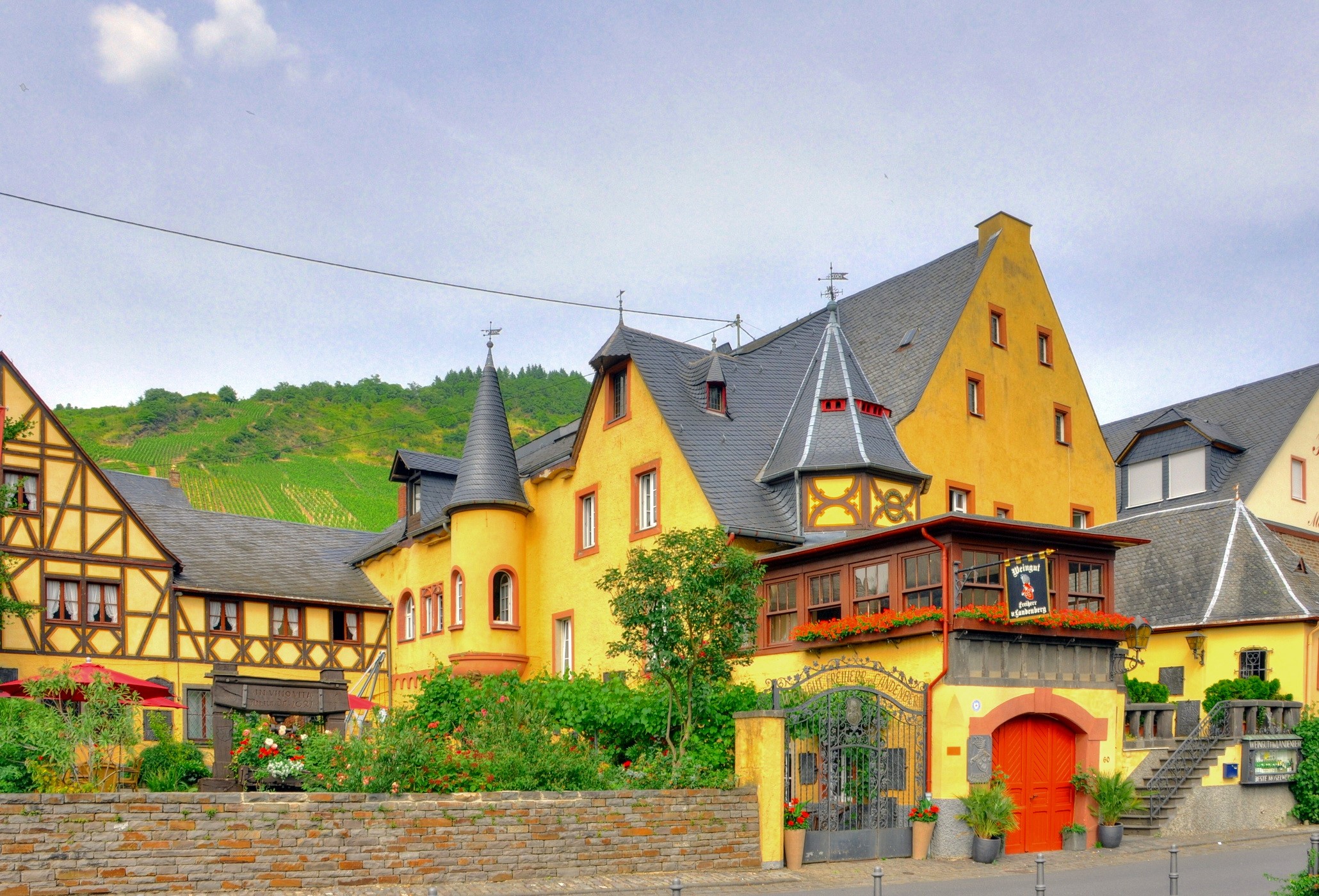 Yellow buildings with vineyards in Germany HD Wallpaper