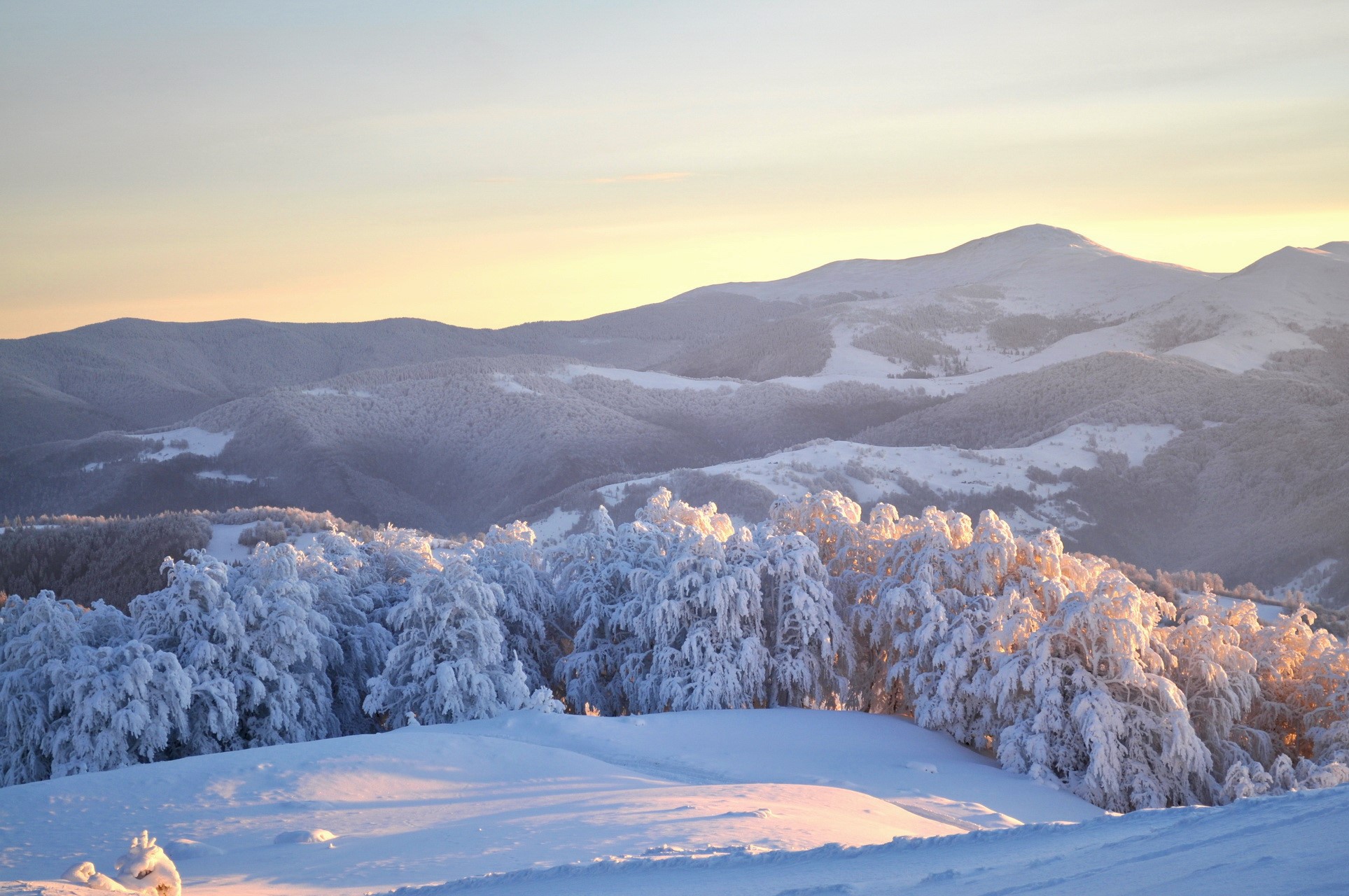 Snow-covered mountains and trees at sunrise HD Wallpaper