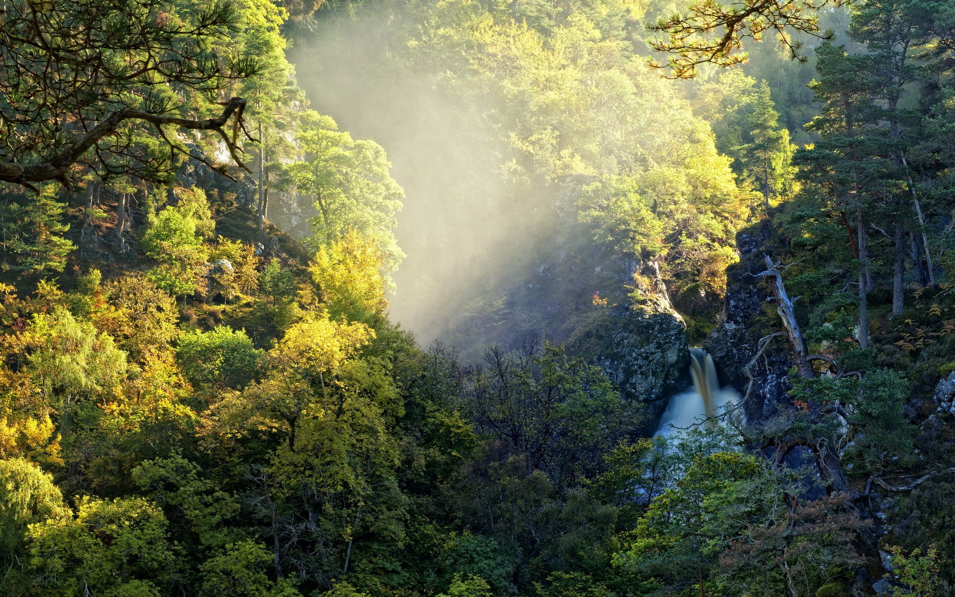 Waterfall in a misty forest with sunbeams HD Wallpaper