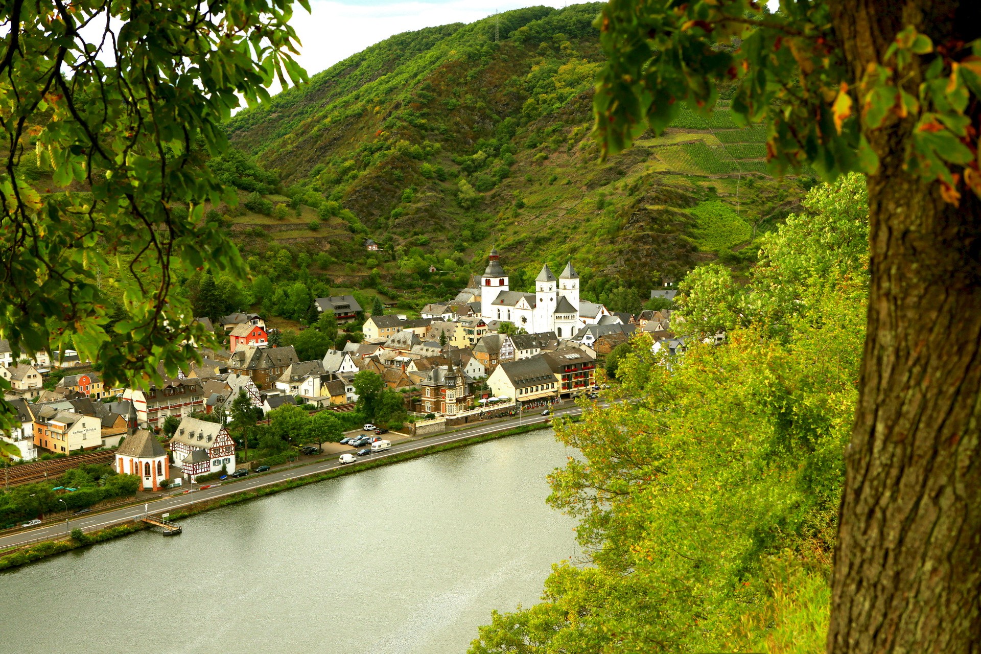 Village on a river with vineyards in Germany HD Wallpaper