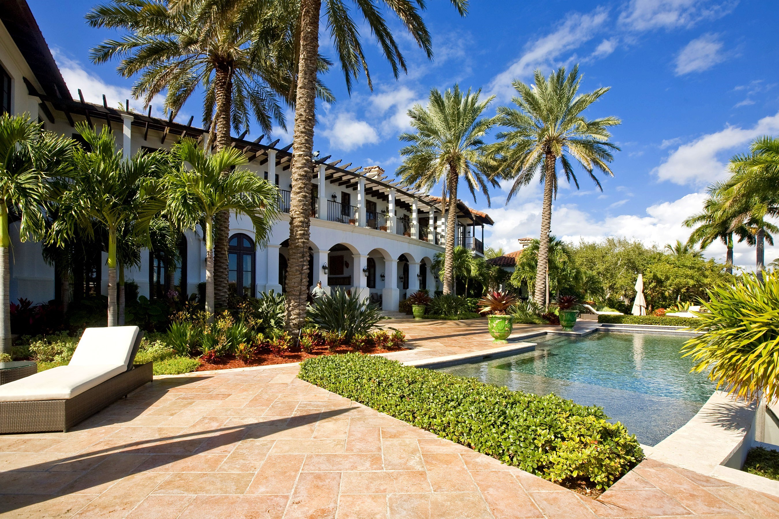 Luxury resort with pool and palm trees HD Wallpaper