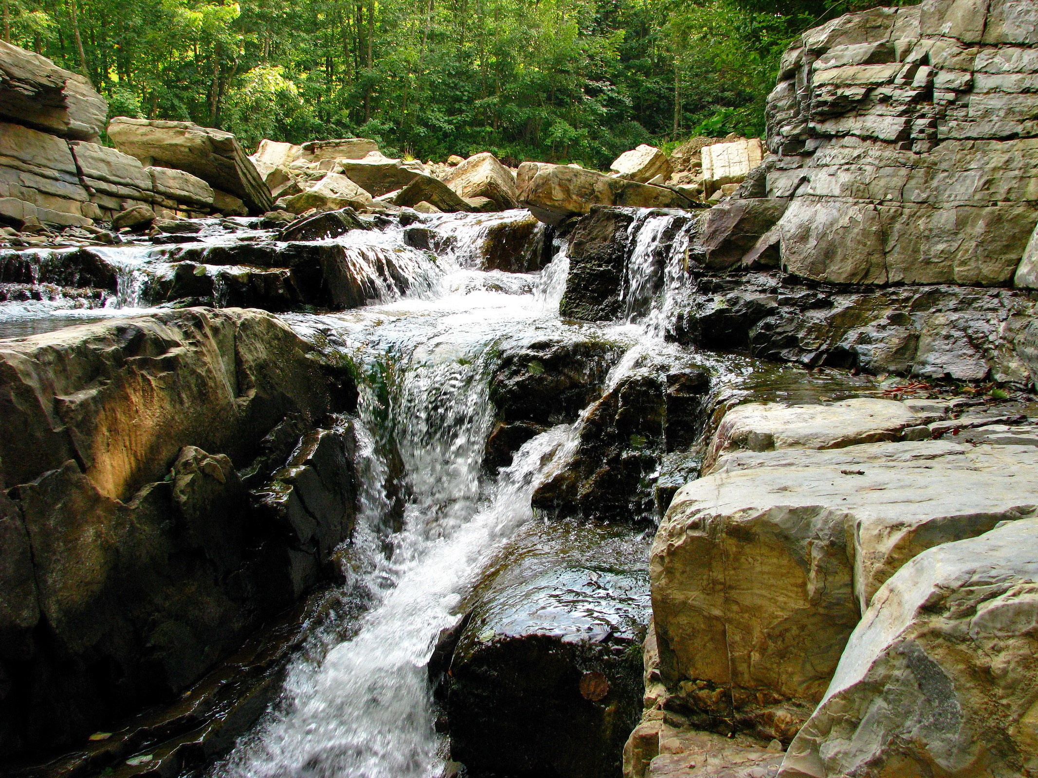 Waterfalls flowing over rocks in a forest HD Wallpaper