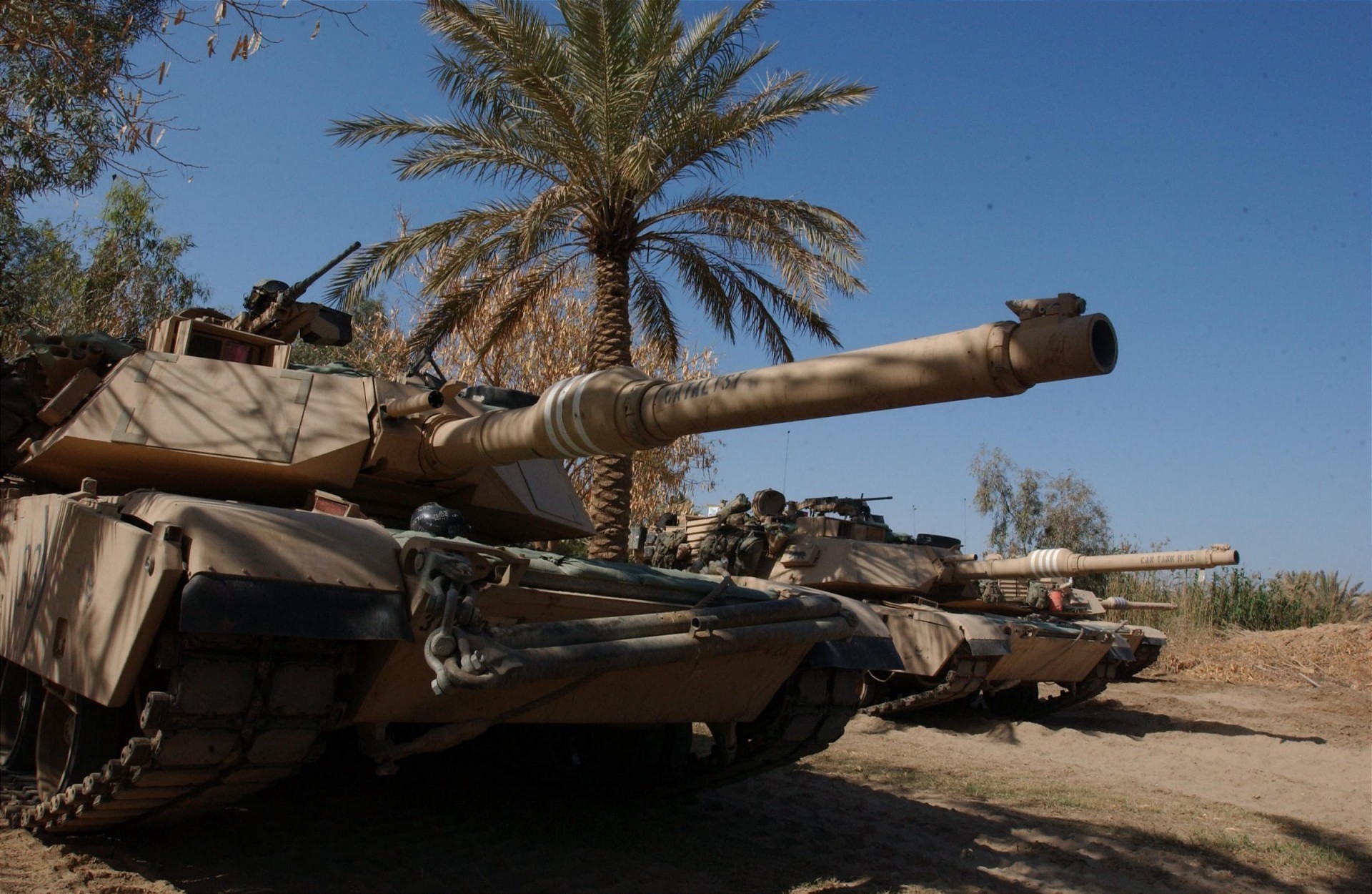 Tanks in a desert landscape with palm trees HD Wallpaper