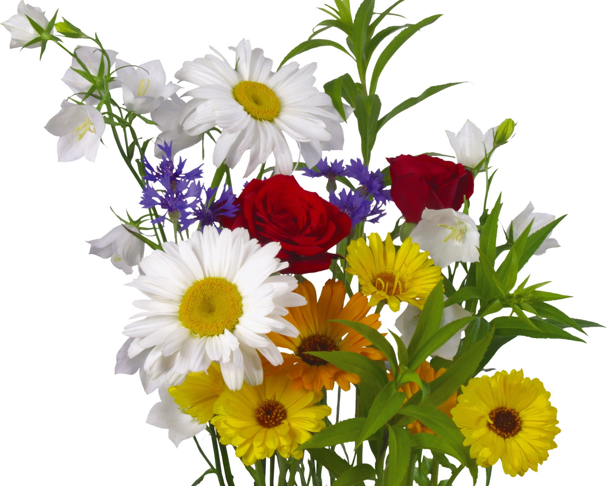 Bouquet of wildflowers HD Wallpaper