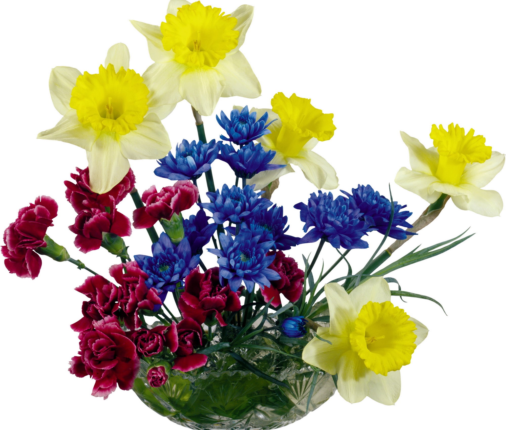 Bouquet of Daffodils, Carnations, and Blue Flowers in a Vase HD Wallpaper