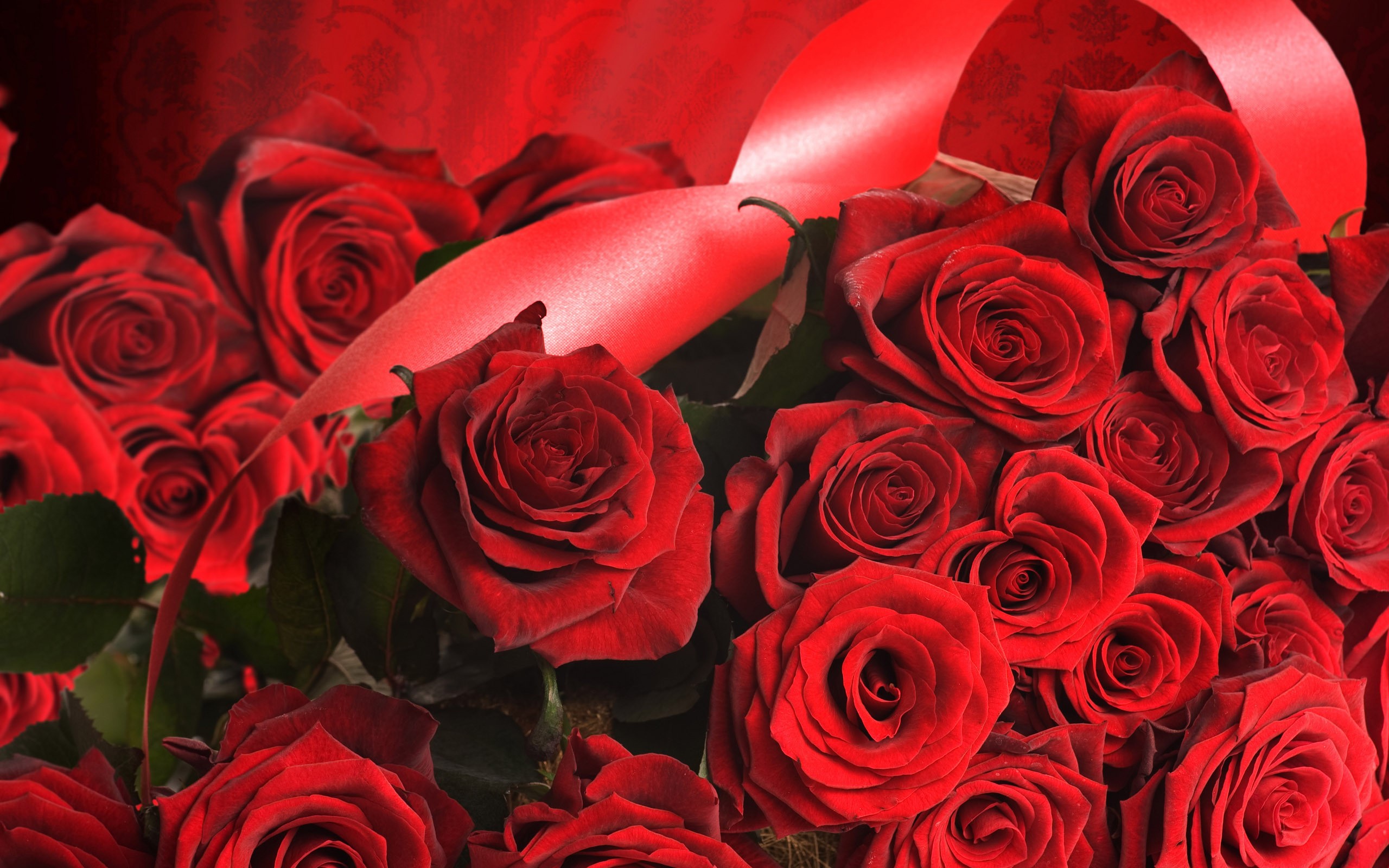 Bouquet of red roses with a red ribbon HD Wallpaper