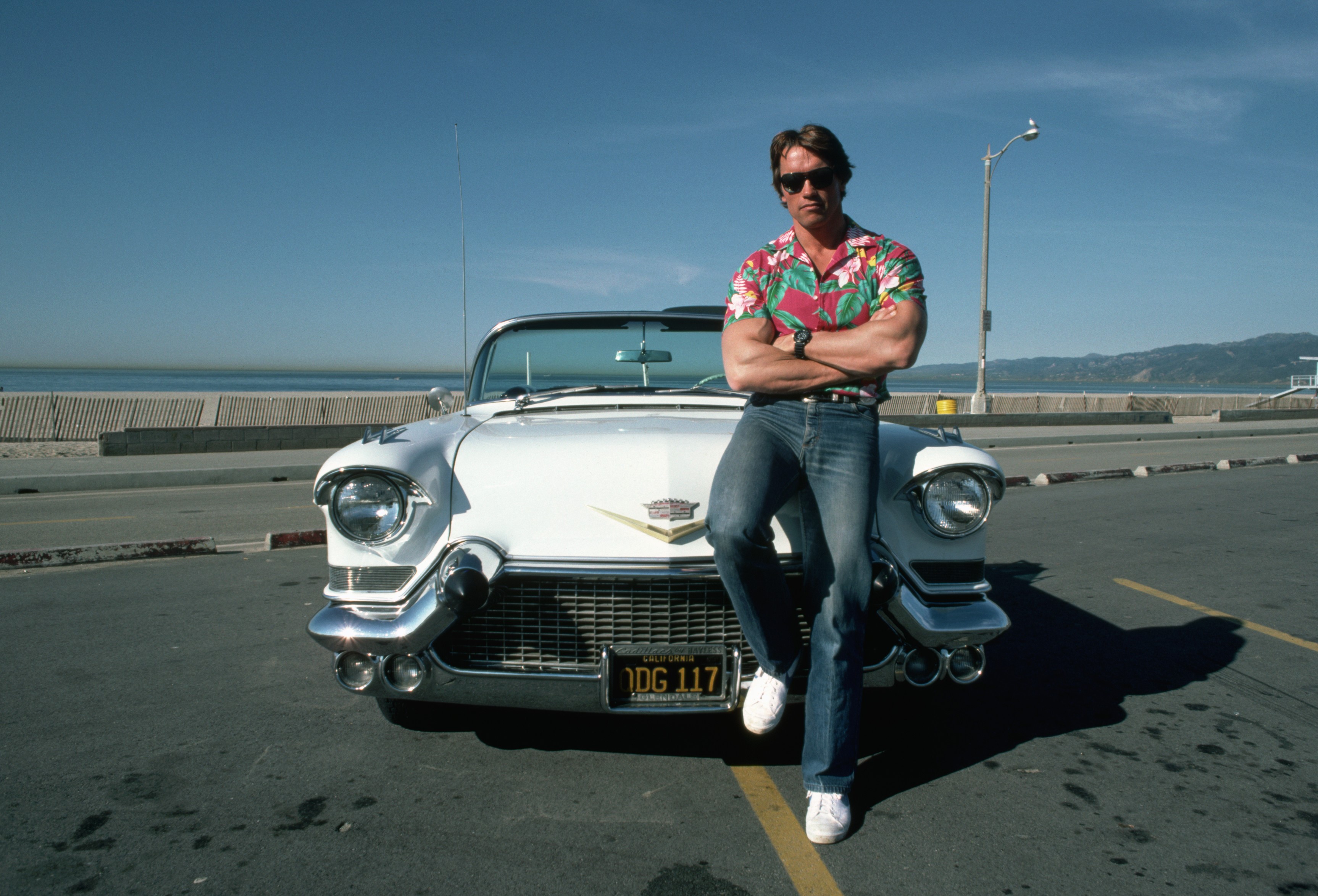 Arnold Schwarzenegger leaning on a white Cadillac convertible HD Wallpaper