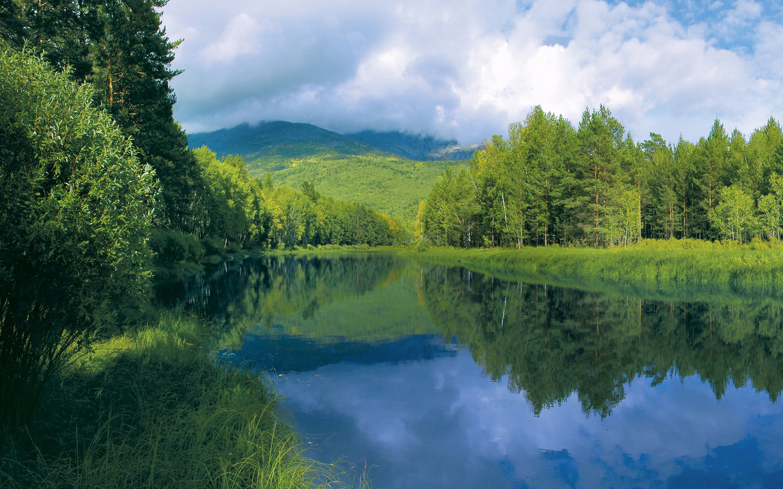 River flowing through a forest with mountains in the background HD Wallpaper