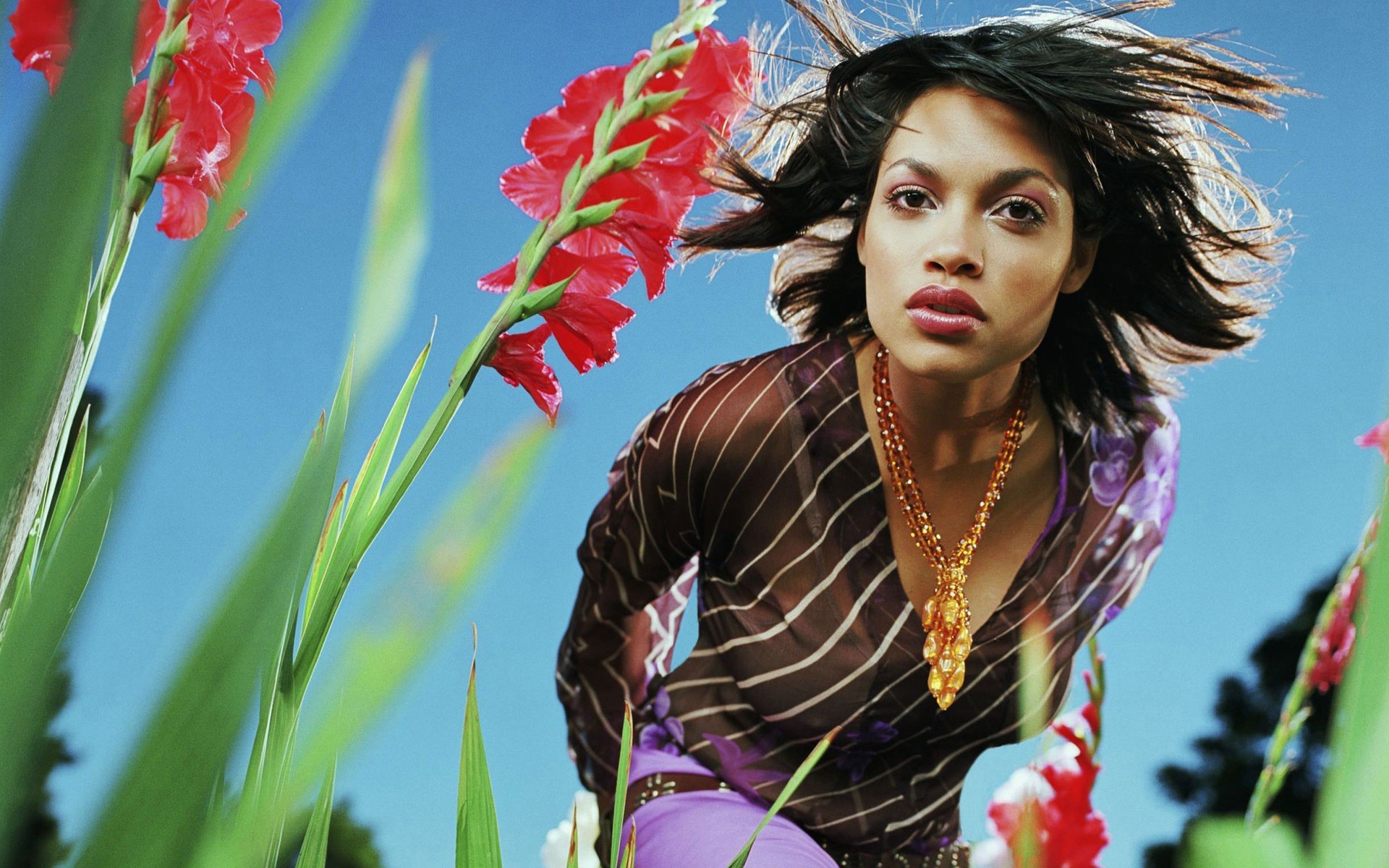 Rosario Dawson in a sheer top with gladiolus flowers HD Wallpaper