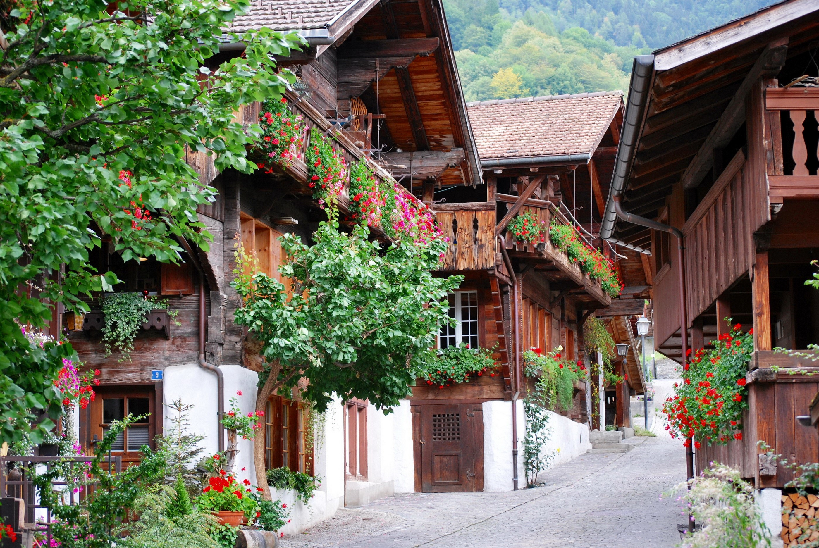 Traditional wooden houses with flowers in Brienz, Switzerland HD Wallpaper