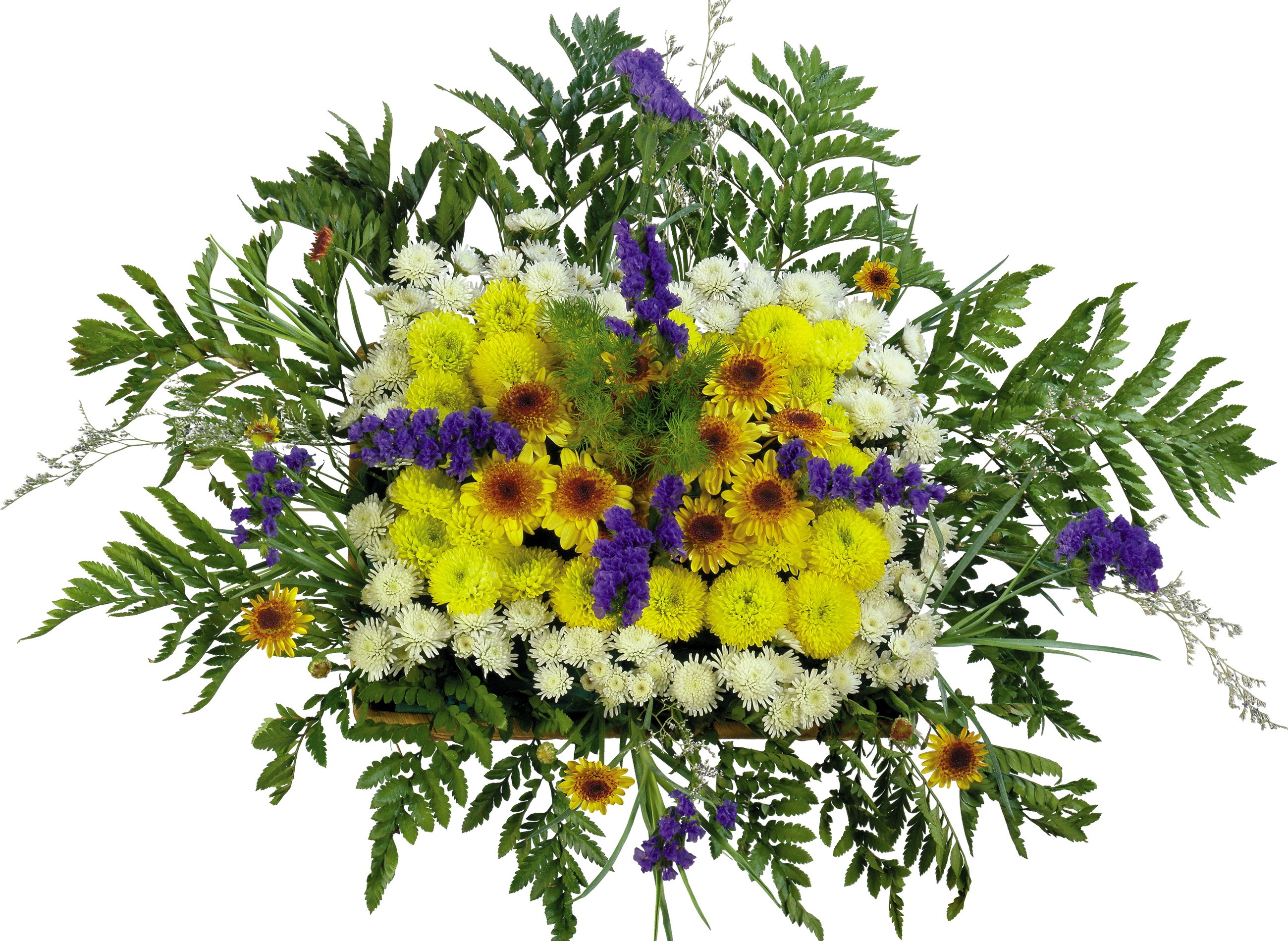 Bouquet of yellow, white, and purple flowers with ferns HD Wallpaper
