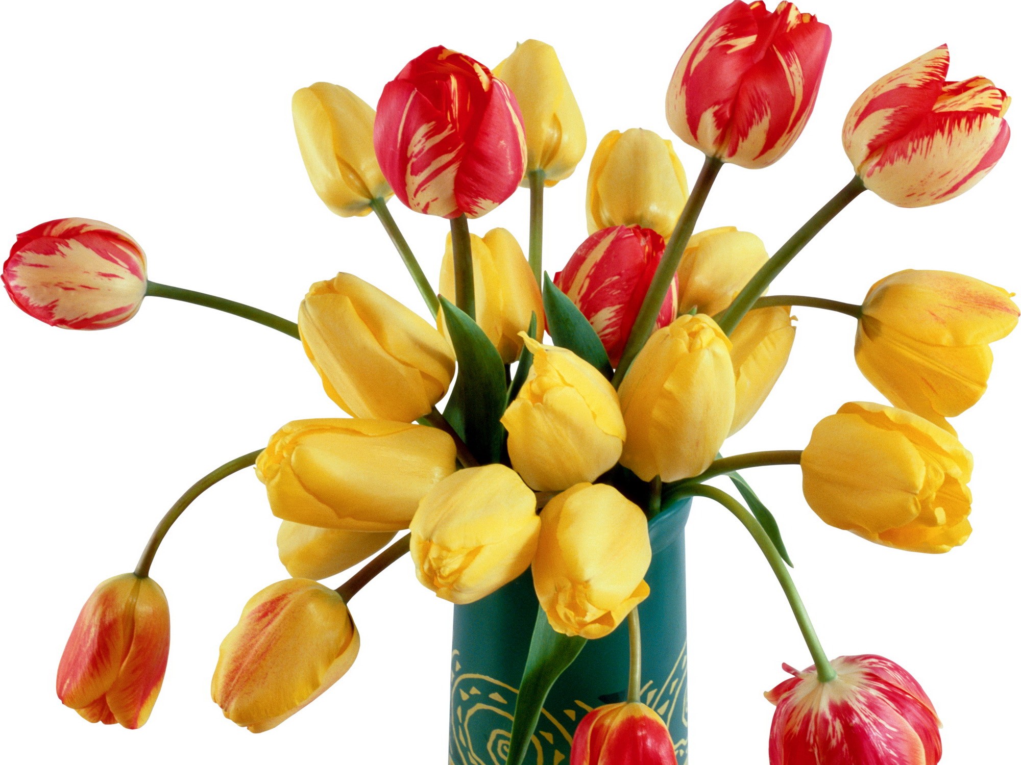 Bouquet of red and yellow tulips in a vase HD Wallpaper