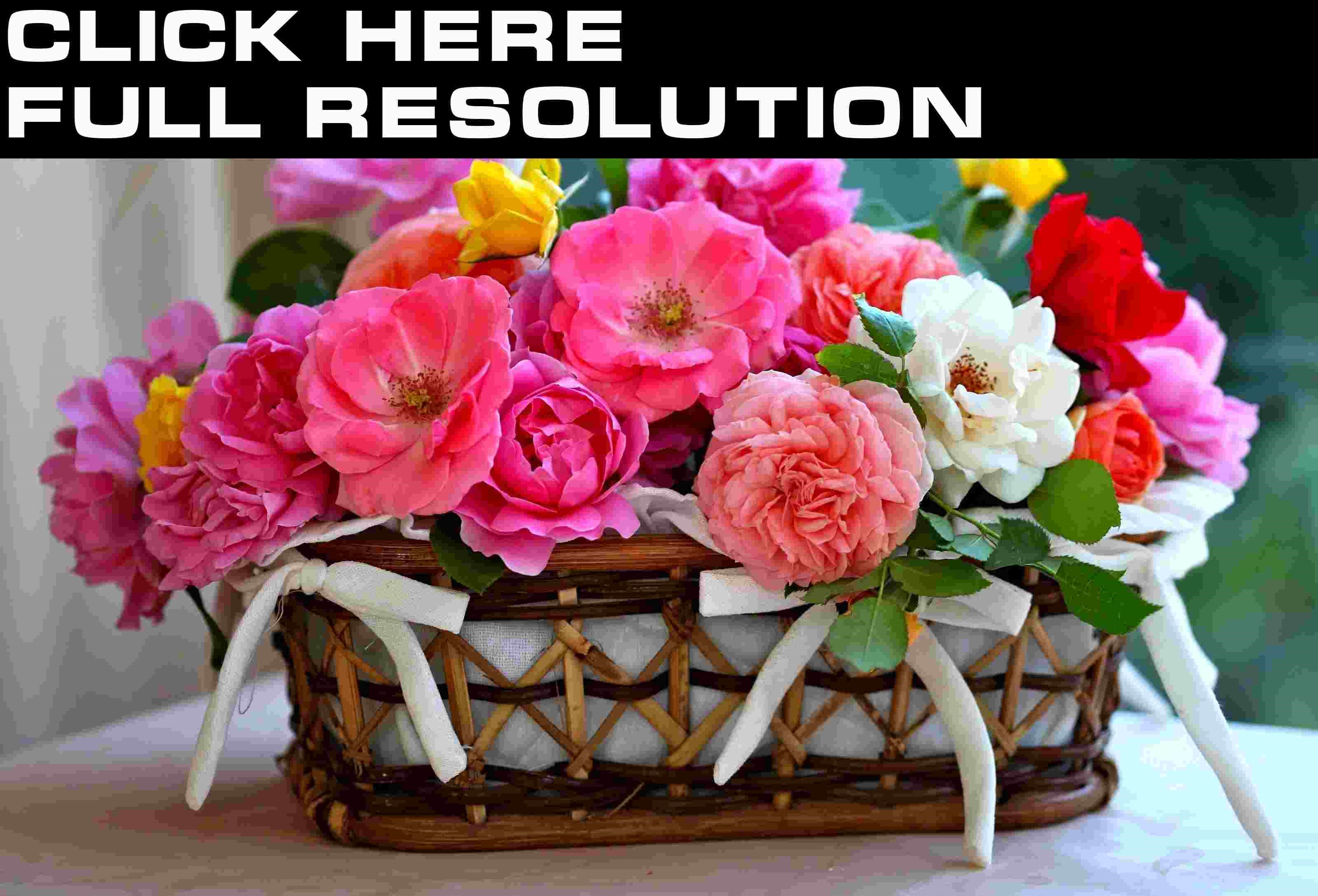 Basket of Roses HD Wallpaper