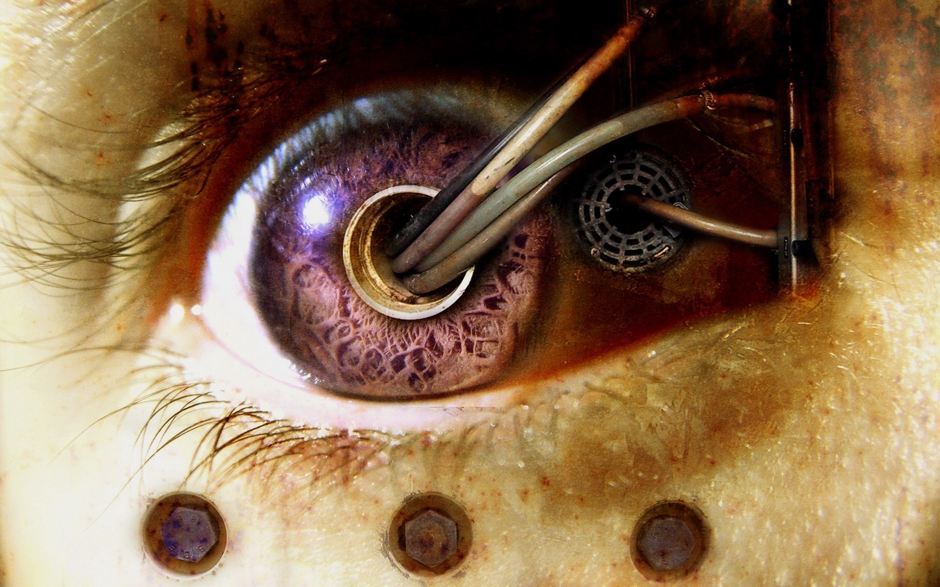 Close-up of a cybernetic eye with wires HD Wallpaper