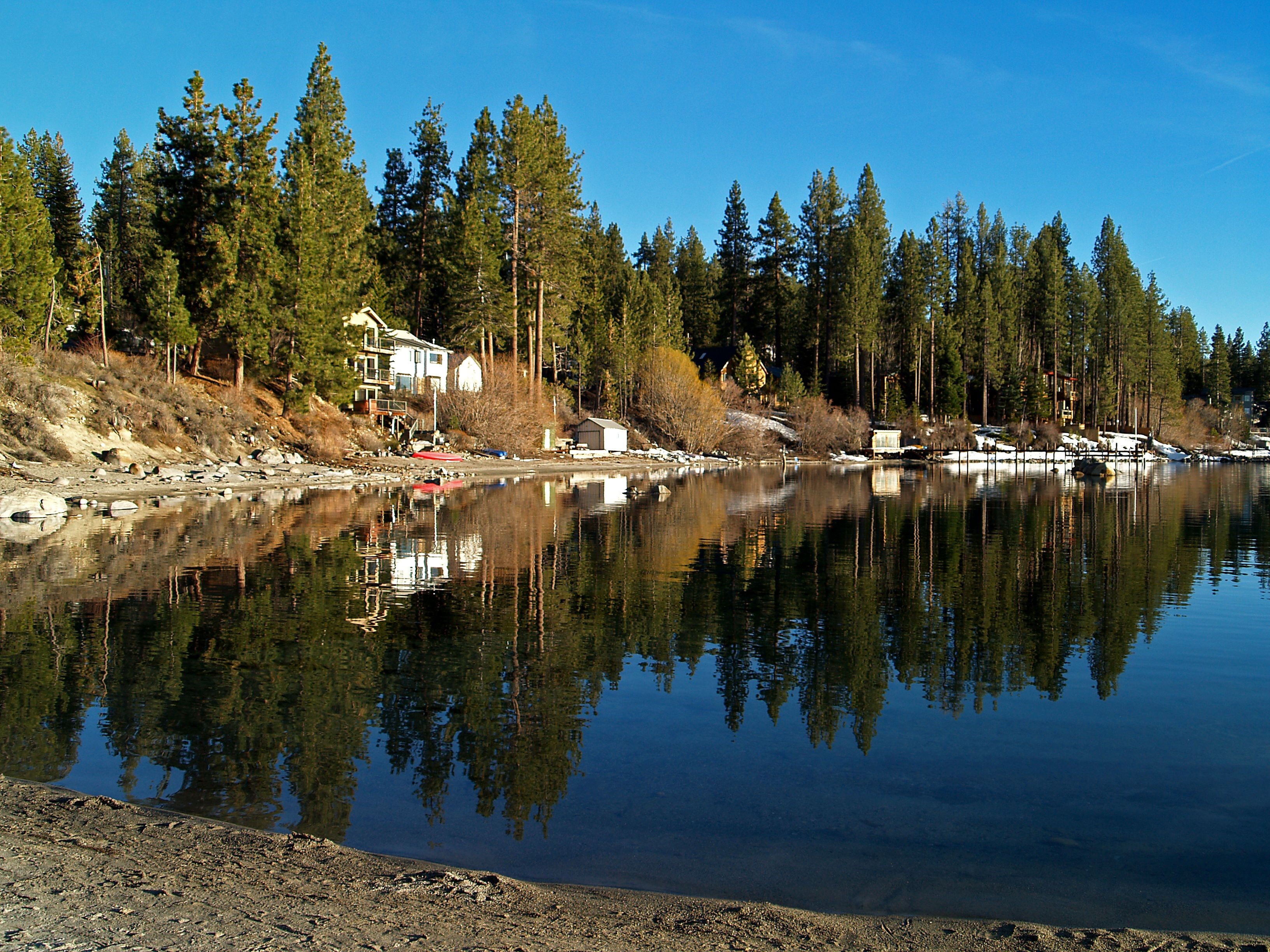 Lakefront homes and pine trees reflected in calm water HD Wallpaper