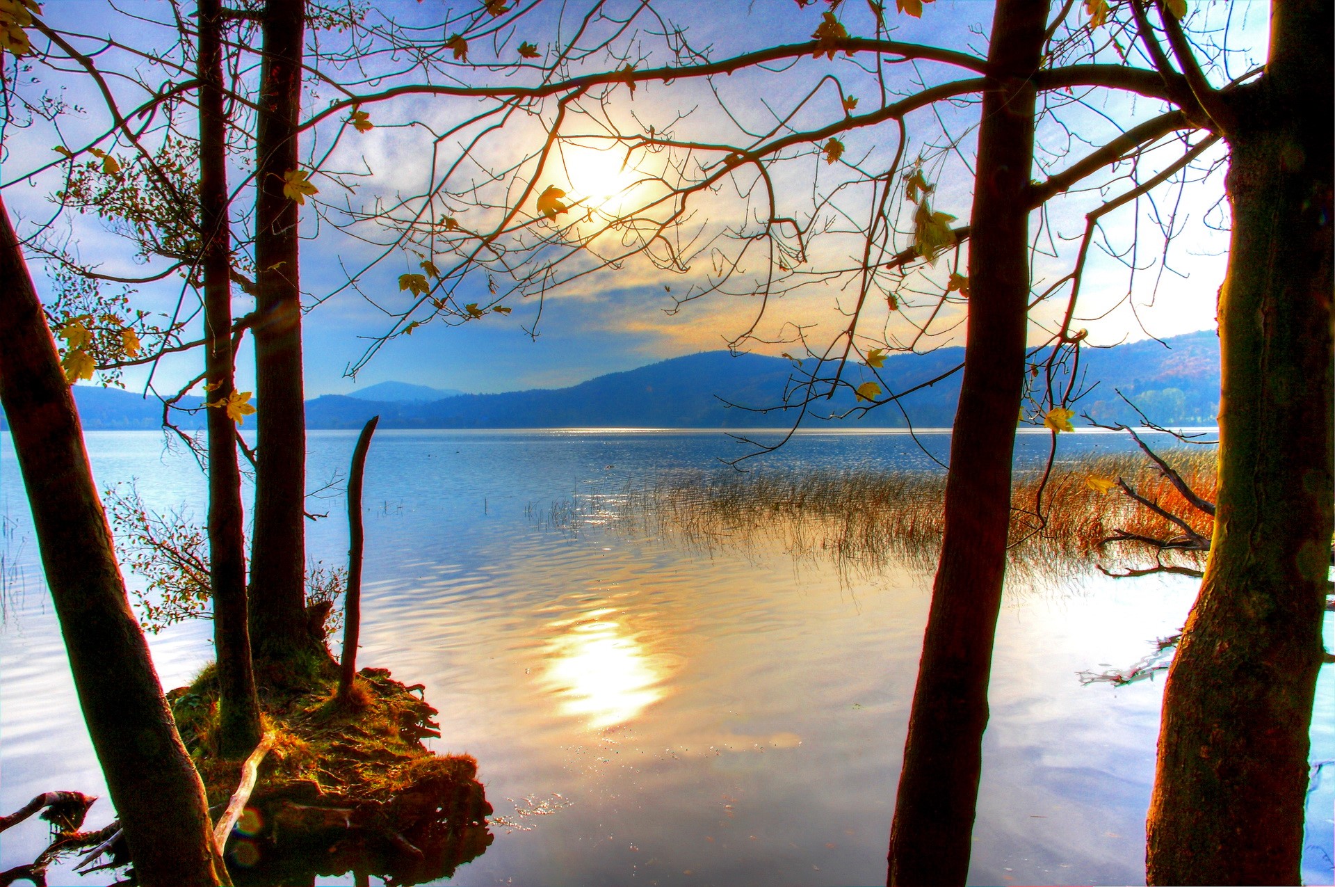 Trees framing a lake at sunset HD Wallpaper