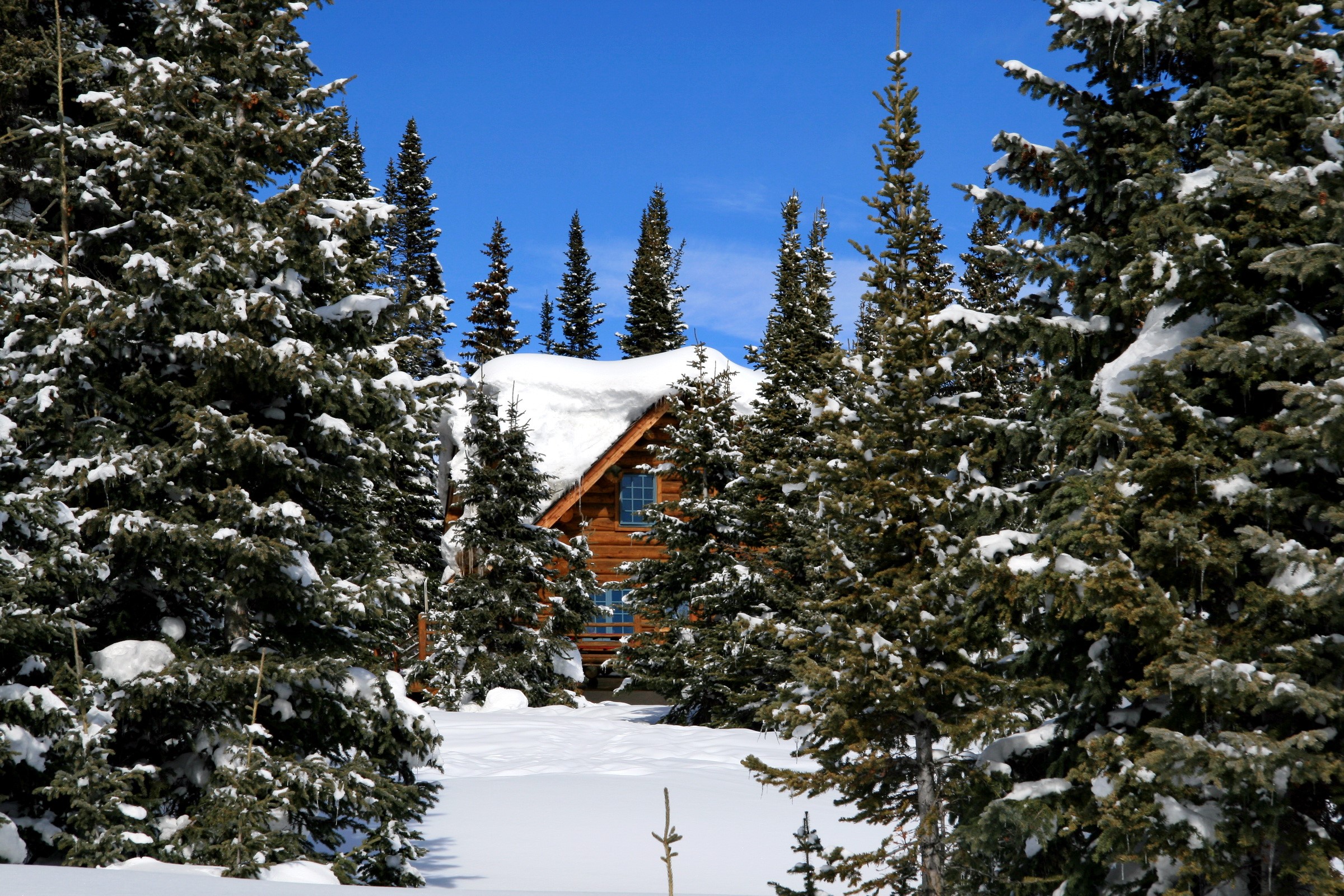 Snowy cabin in a winter forest HD Wallpaper