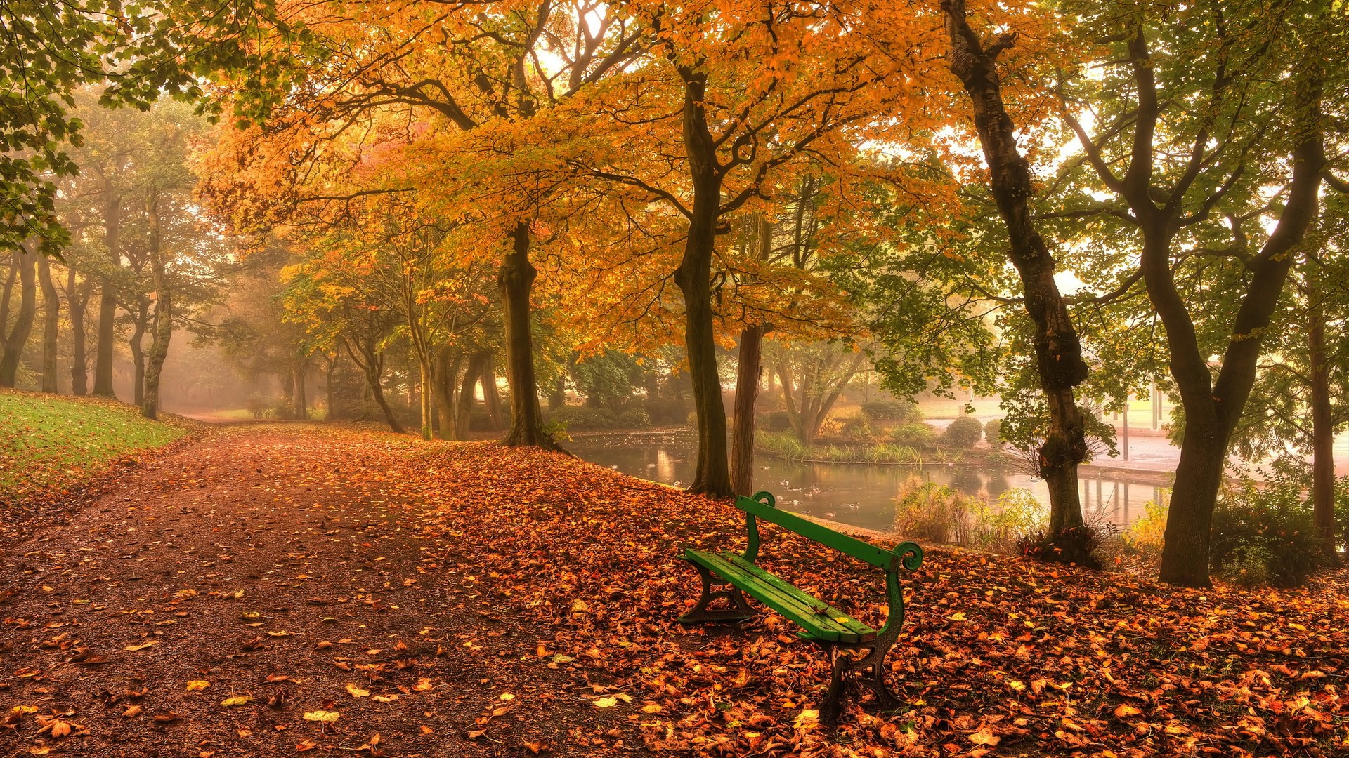 Park path with autumn leaves and a bench HD Wallpaper