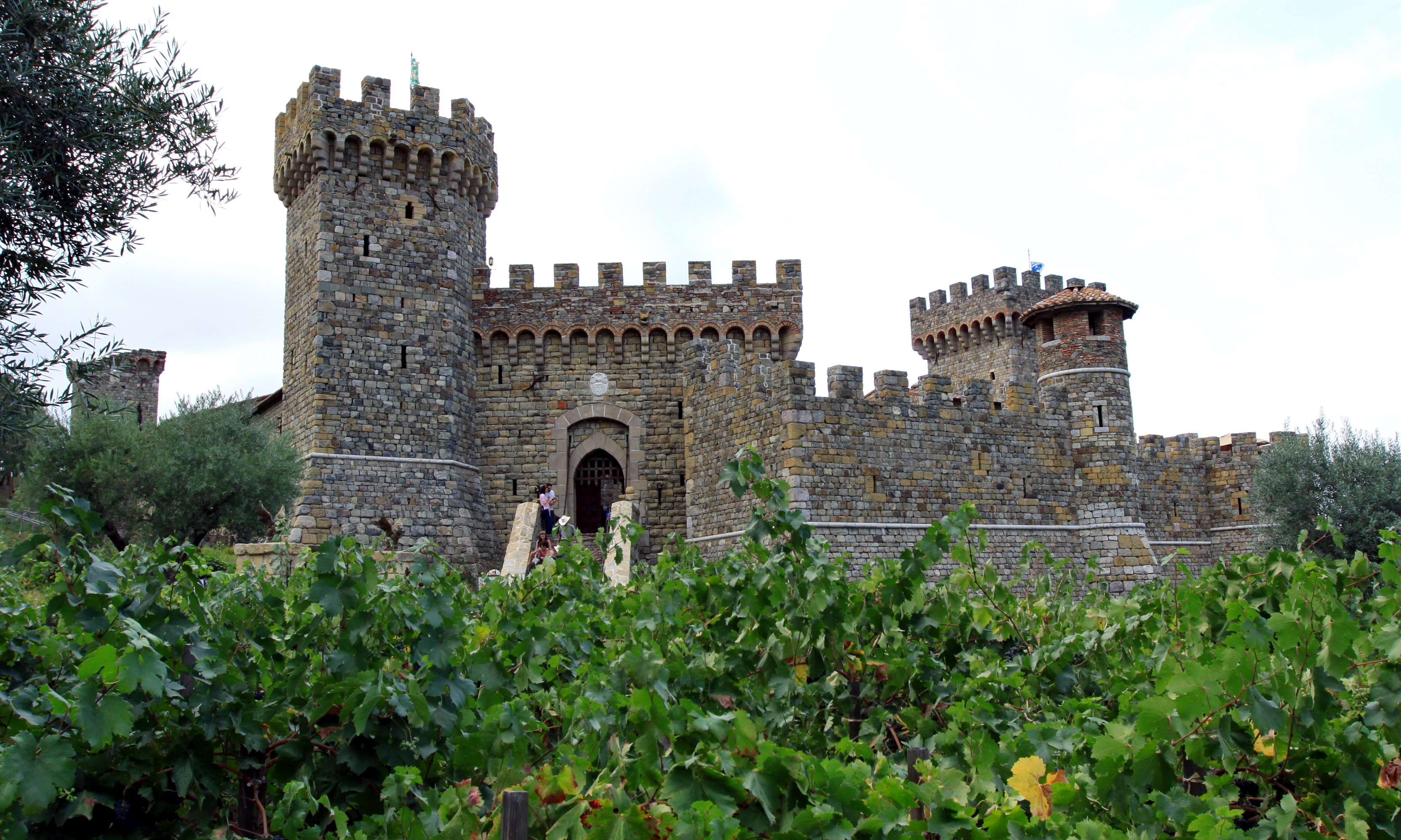 Castle with vineyards HD Wallpaper