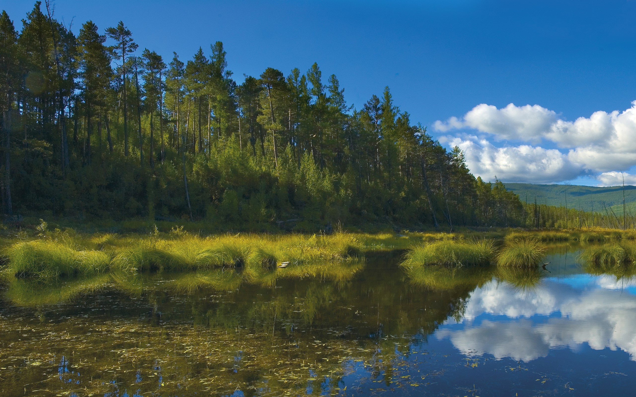 Forest lake with reflections and blue sky HD Wallpaper