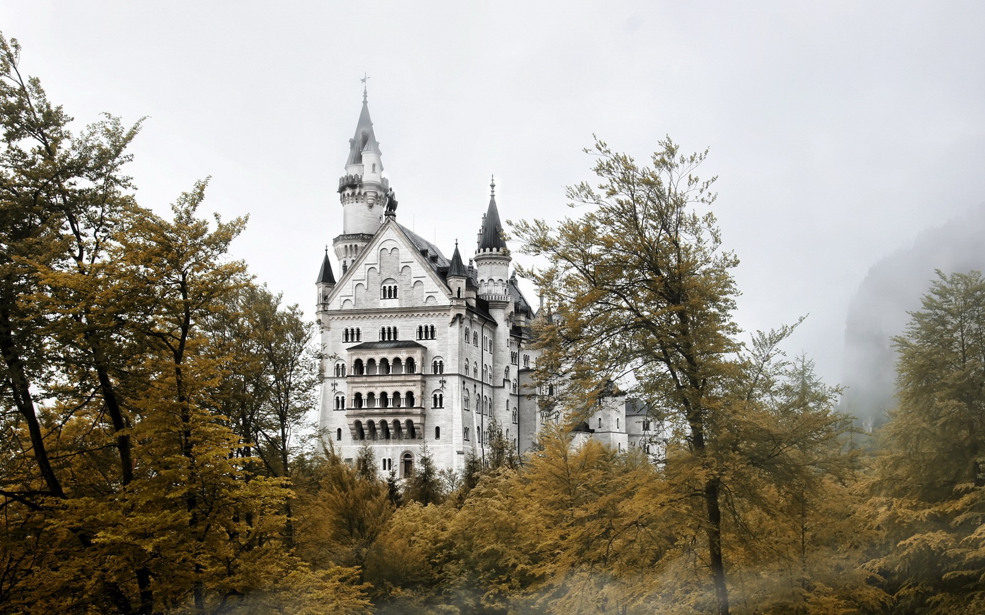 Neuschwanstein Castle in autumn with fog HD Wallpaper