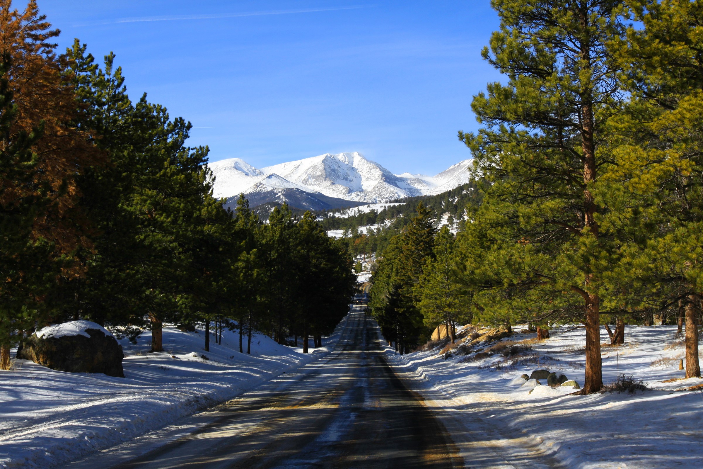 Snowy Mountain Road Lined with Pine Trees HD Wallpaper
