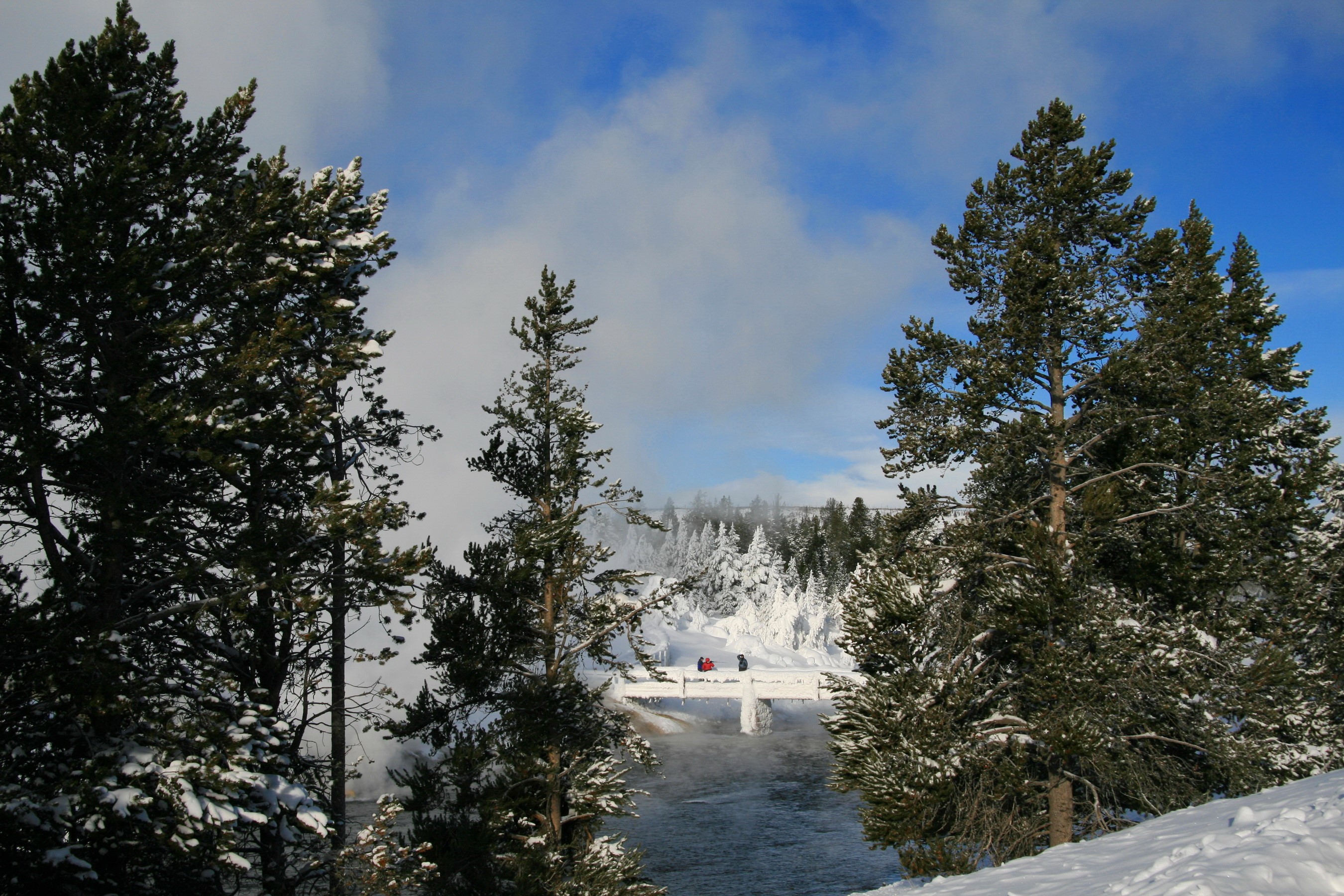 Snowy Yellowstone National Park with a bridge and river HD Wallpaper