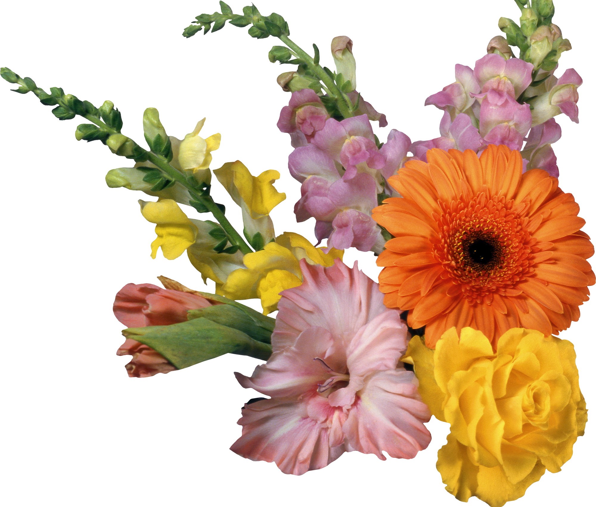 Bouquet of assorted flowers HD Wallpaper
