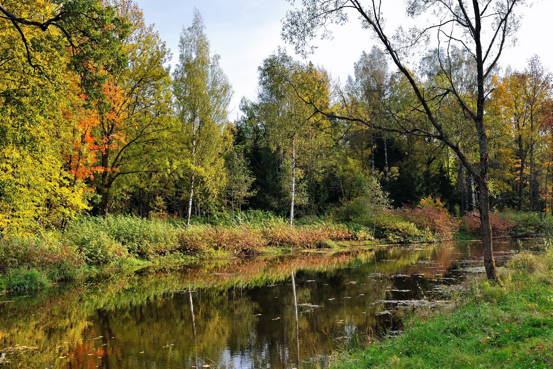 Autumn forest reflected in a calm river HD Wallpaper