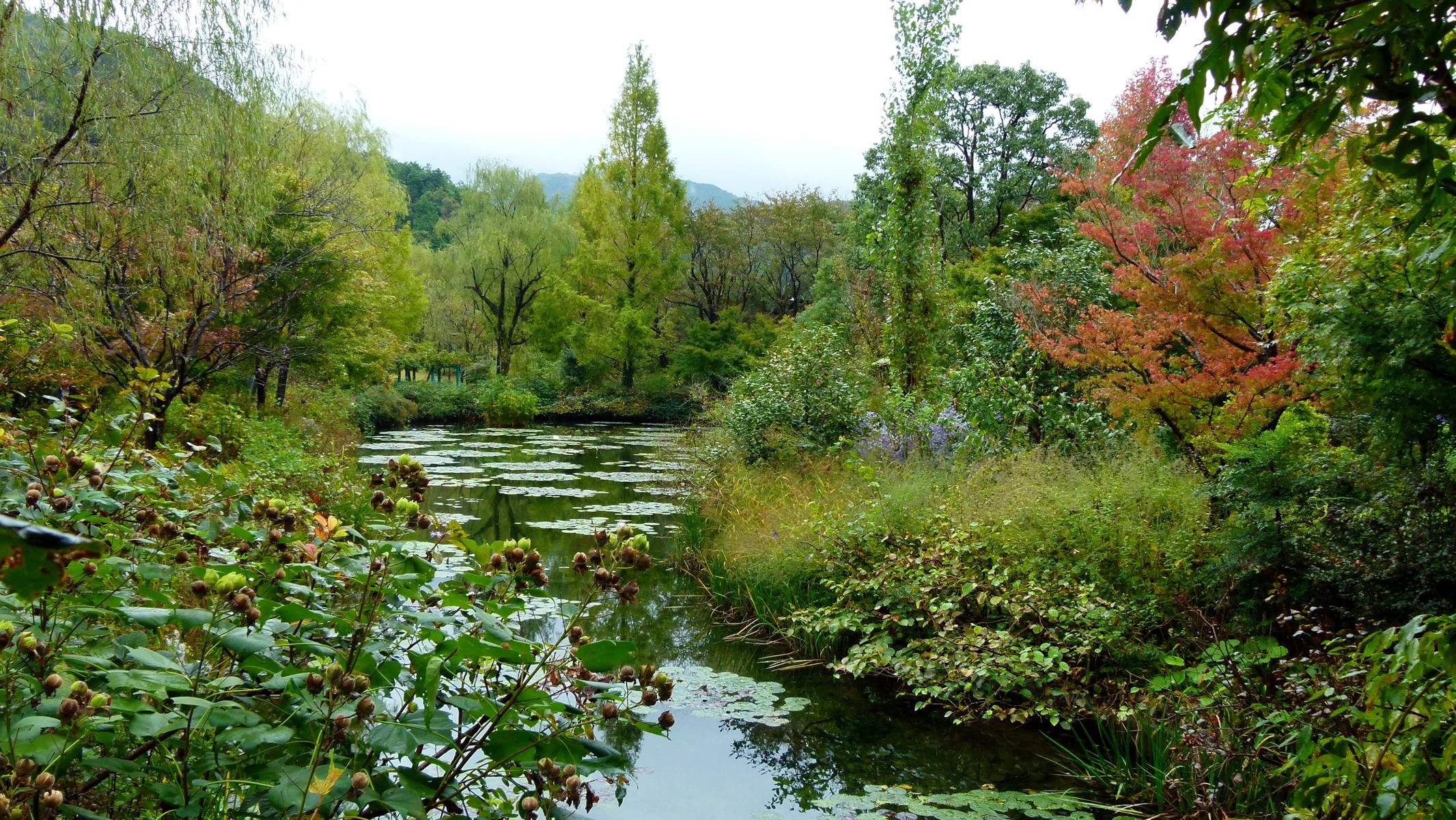 A tranquil pond in a park with autumn foliage HD Wallpaper