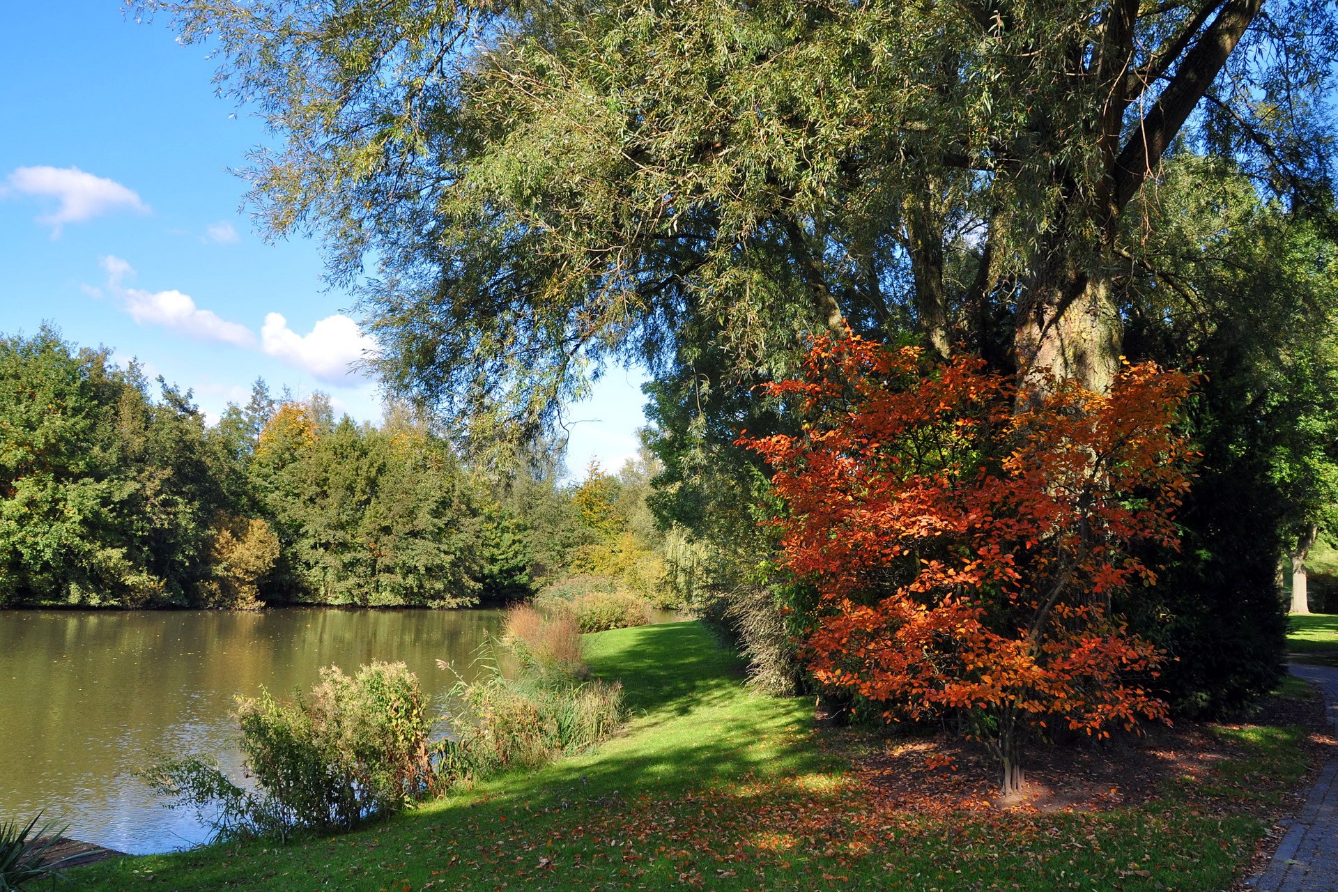 Autumn trees by a lake HD Wallpaper