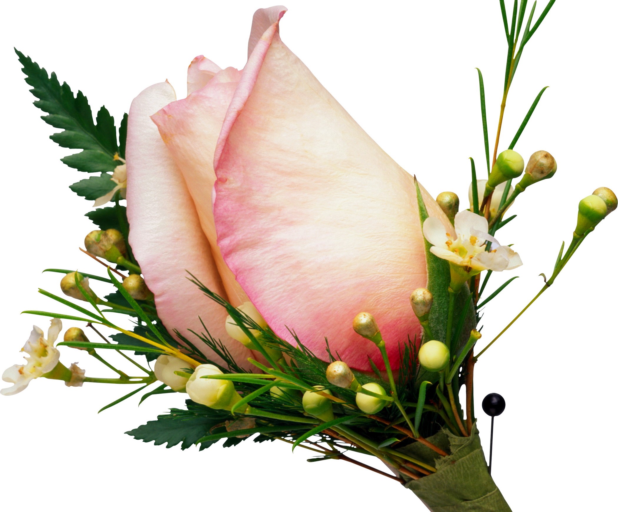 Pink rose boutonniere with greenery and pin HD Wallpaper