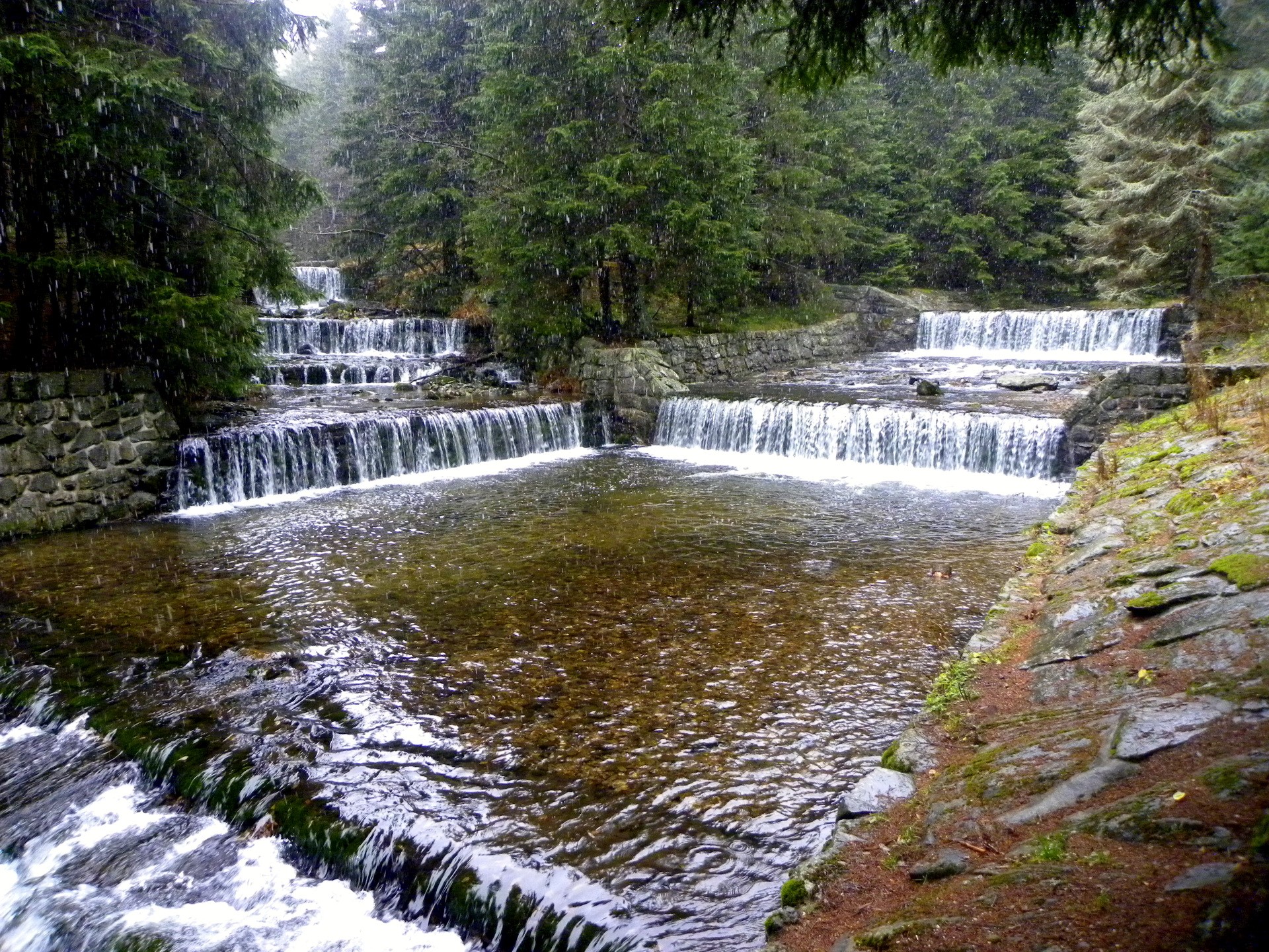 Cascading waterfalls in a forest HD Wallpaper