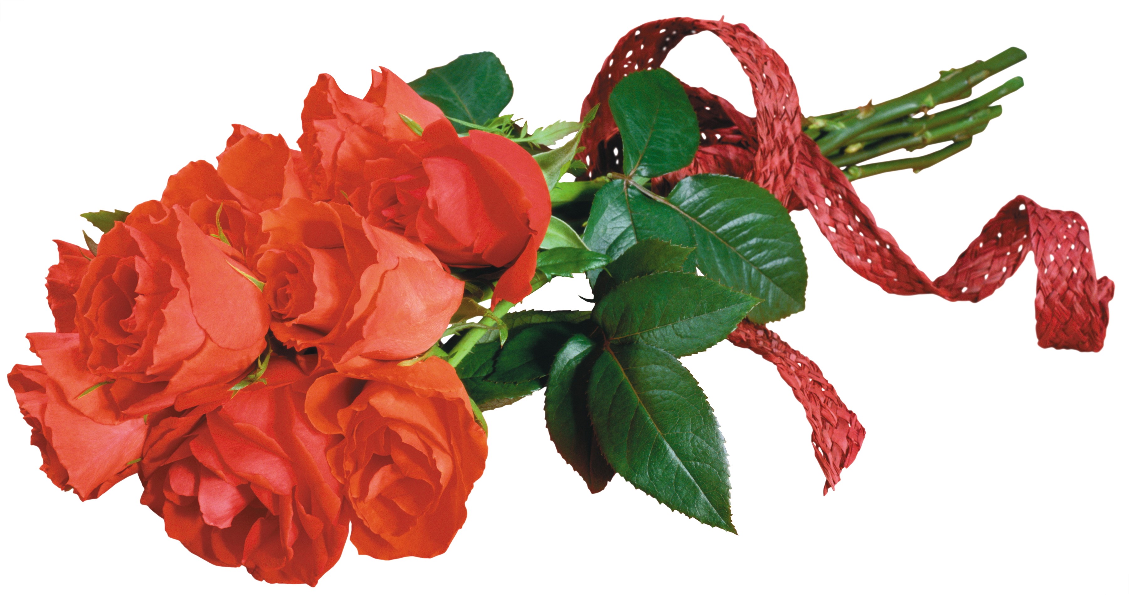 Bouquet of red roses with ribbon HD Wallpaper