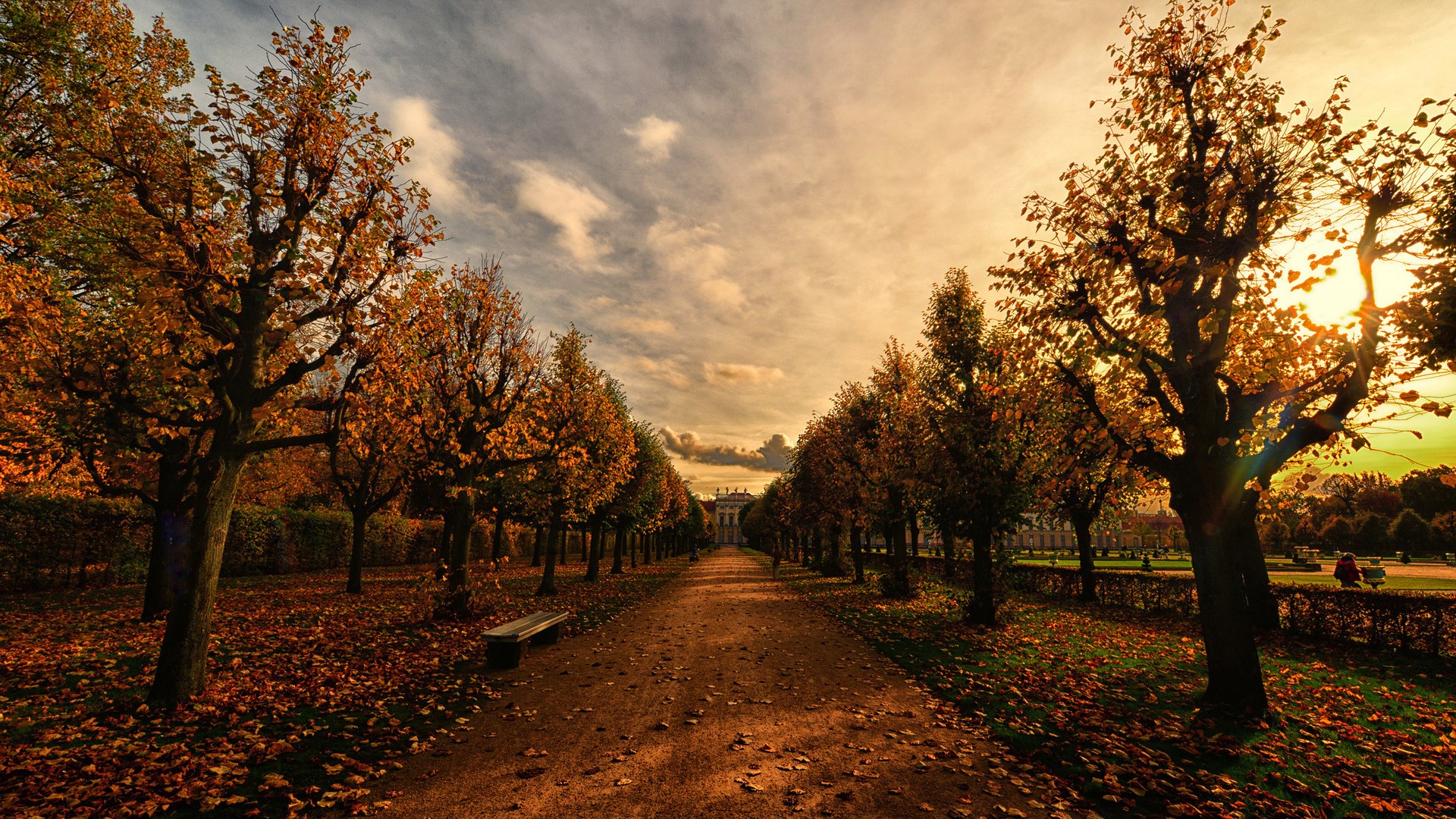 Autumn park pathway with trees and a building HD Wallpaper