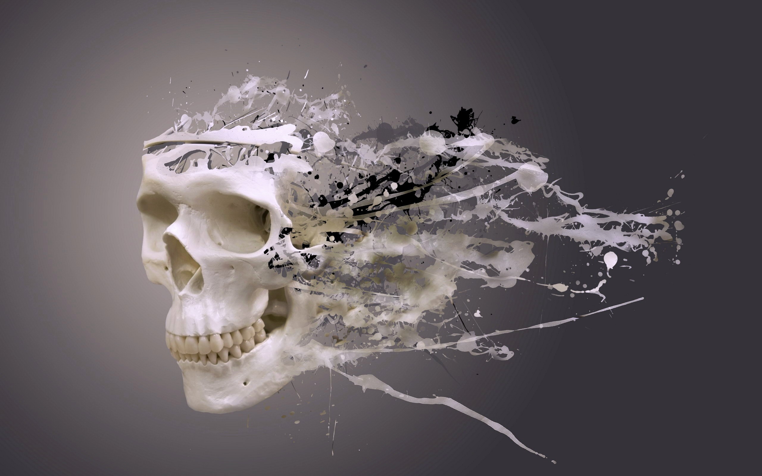 Skull dissolving into paint splatters HD Wallpaper